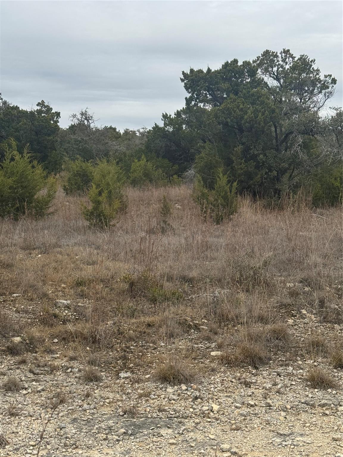 31858 Ranch Road 12 None #lot 8 Property Photo 6