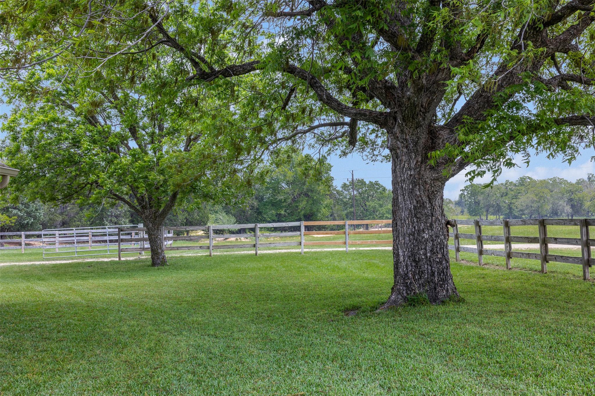 1016 County Road 306 None Property Photo 17