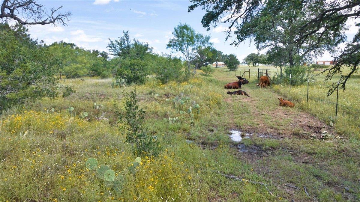 2144 Cr 307 None Property Photo 5