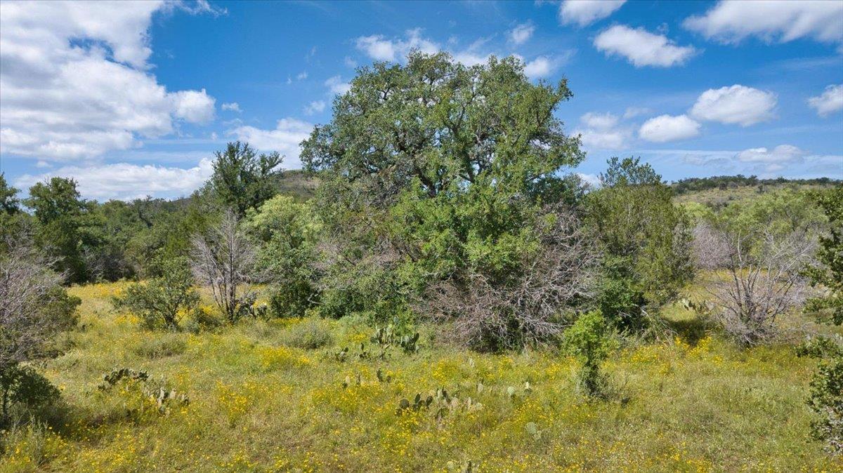2144 Cr 307 None Property Photo 6