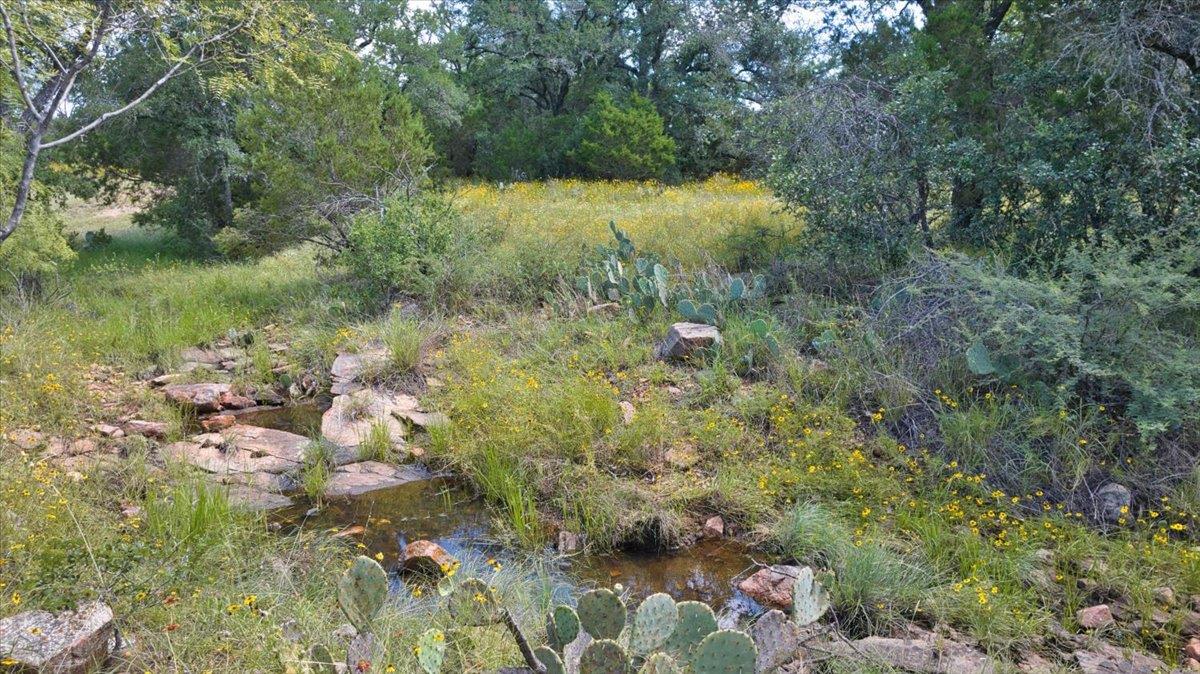 2144 Cr 307 None Property Photo 8