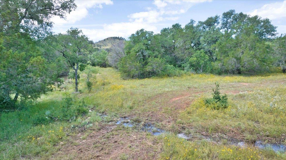 2144 Cr 307 None Property Photo 12