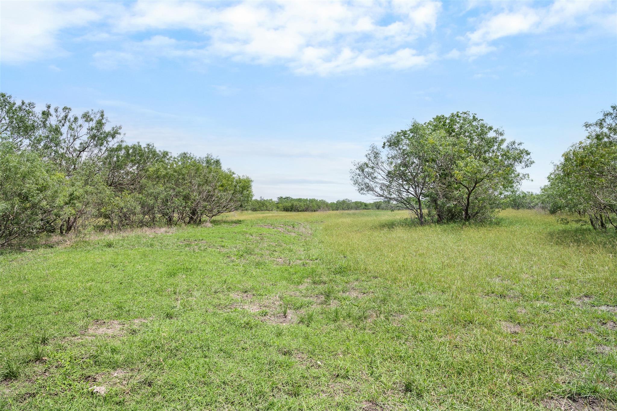 1190 Dickerson Rd Property Photo 3
