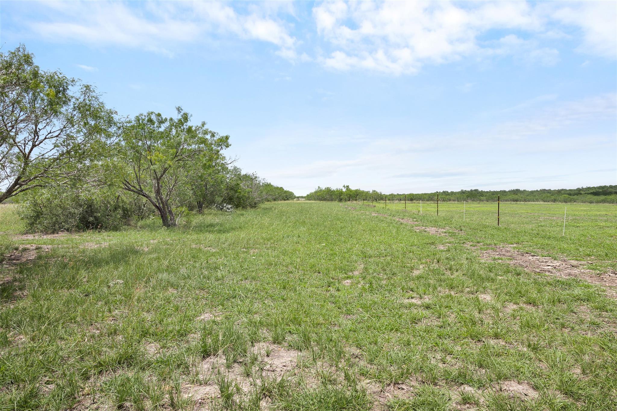 1190 Dickerson Rd Property Photo 4