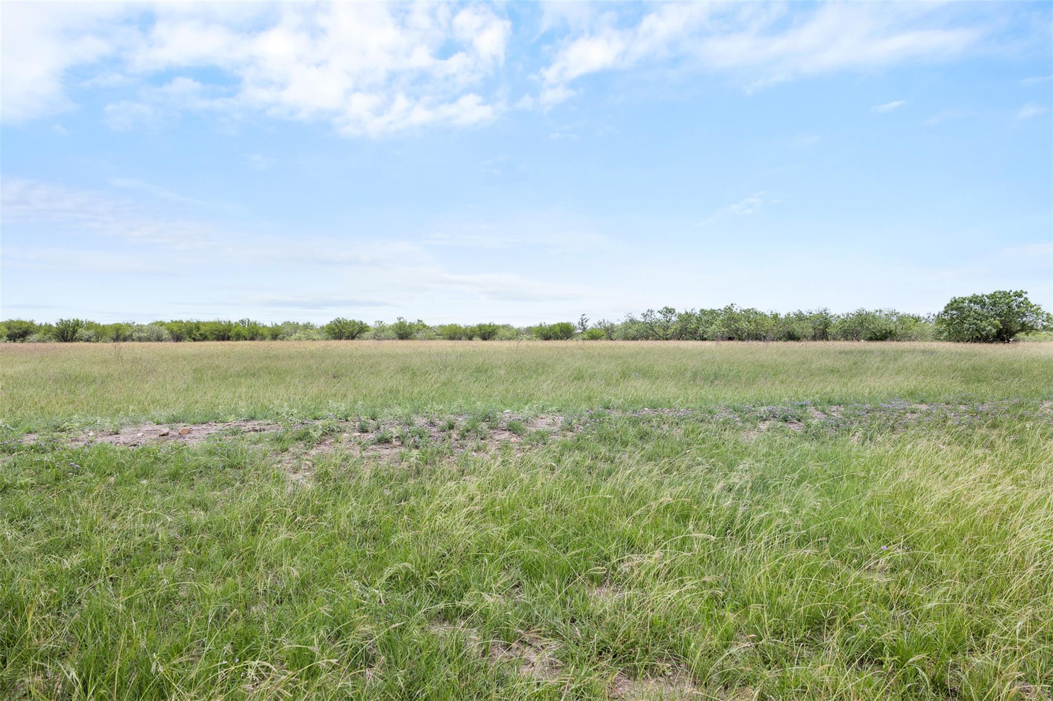 1190 Dickerson Rd Property Photo 9