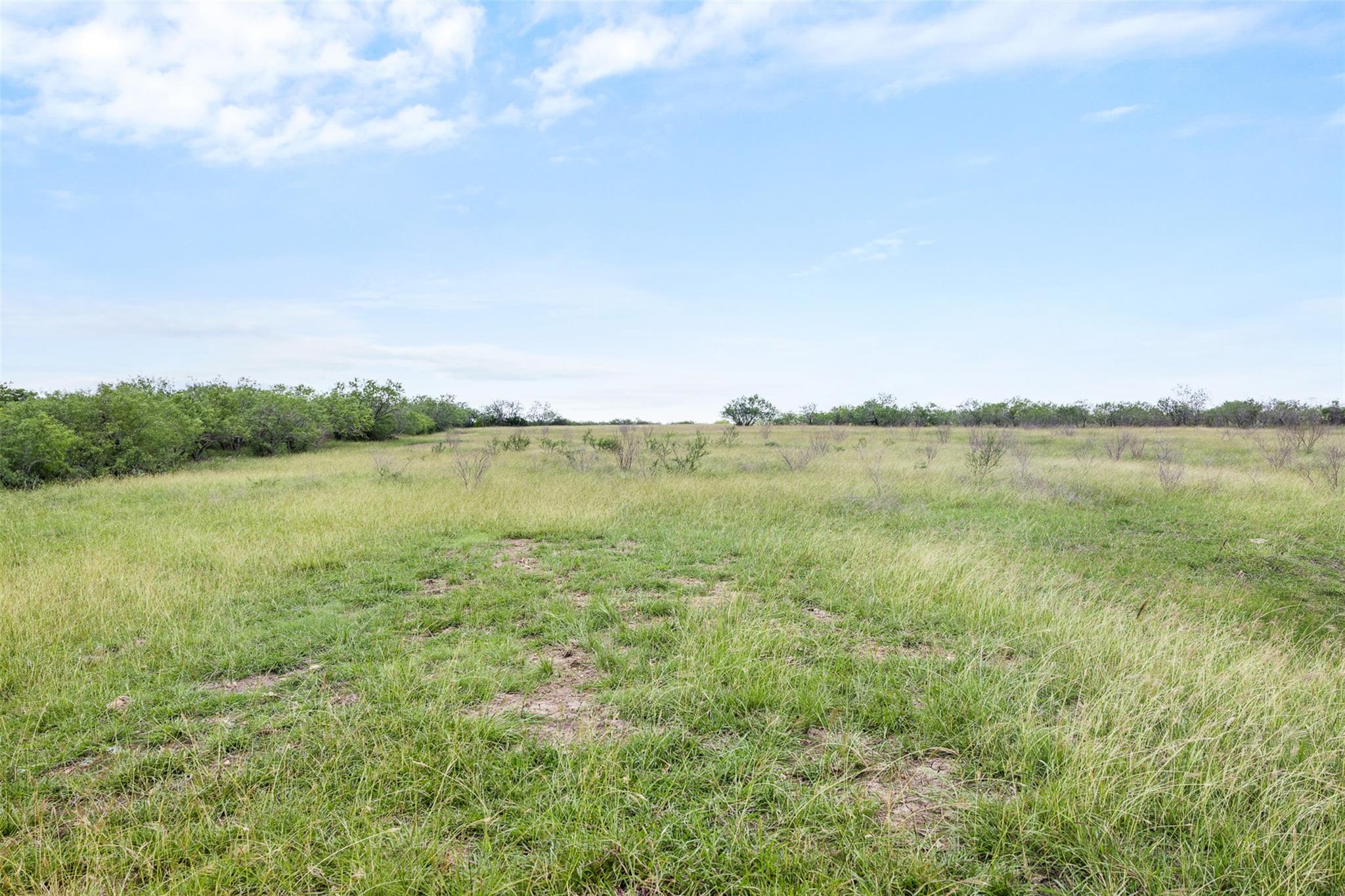 1190 Dickerson Rd Property Photo 10