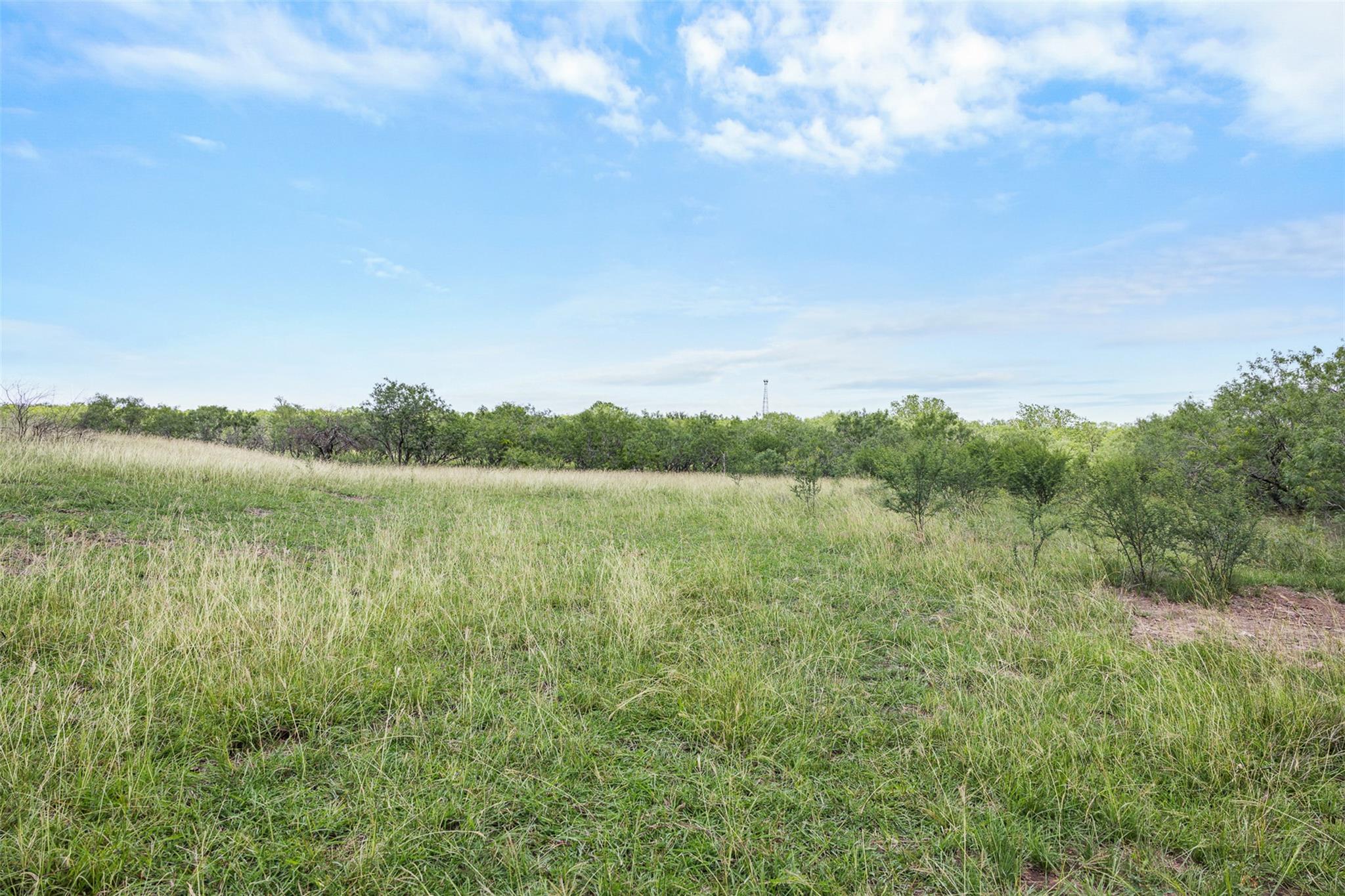 1190 Dickerson Rd Property Photo 12