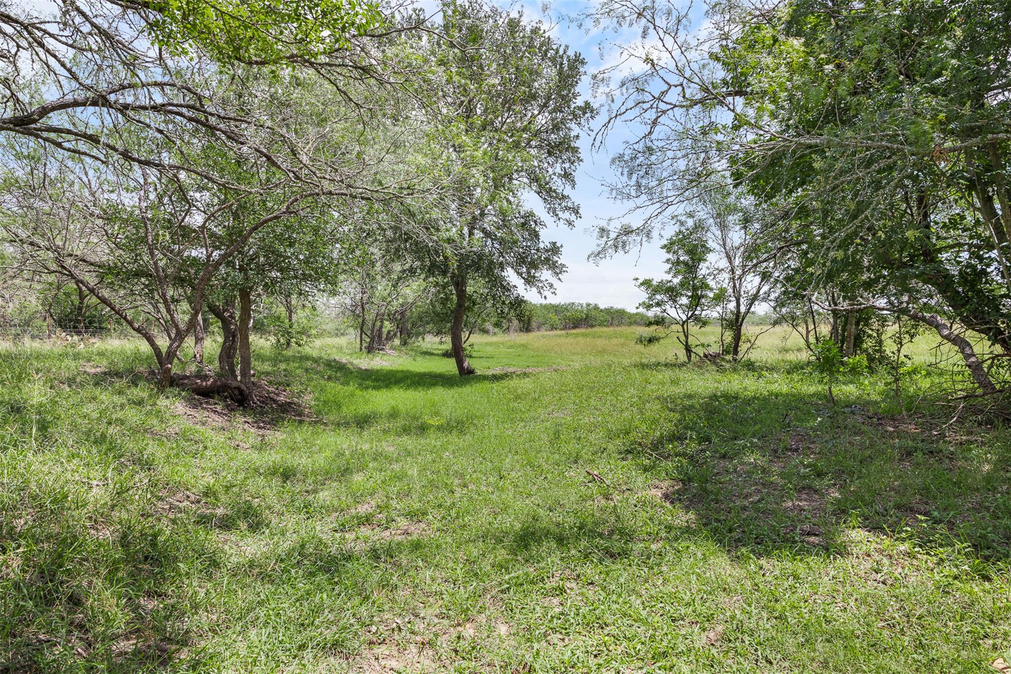 1190 Dickerson Rd Property Photo 13