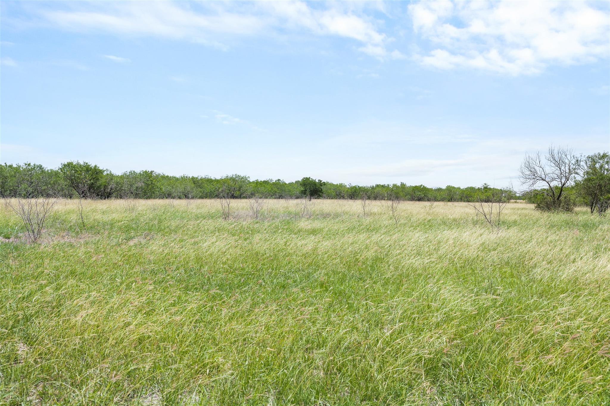 1190 Dickerson Rd Property Photo 15
