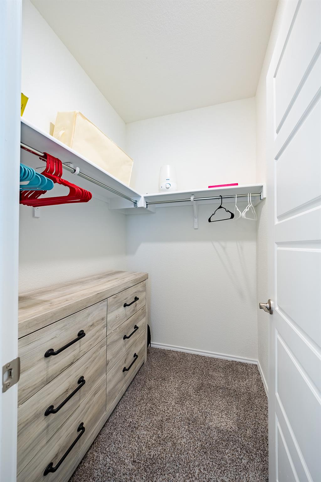 7216 Gray Catbird Dr #86 Property Photo 13