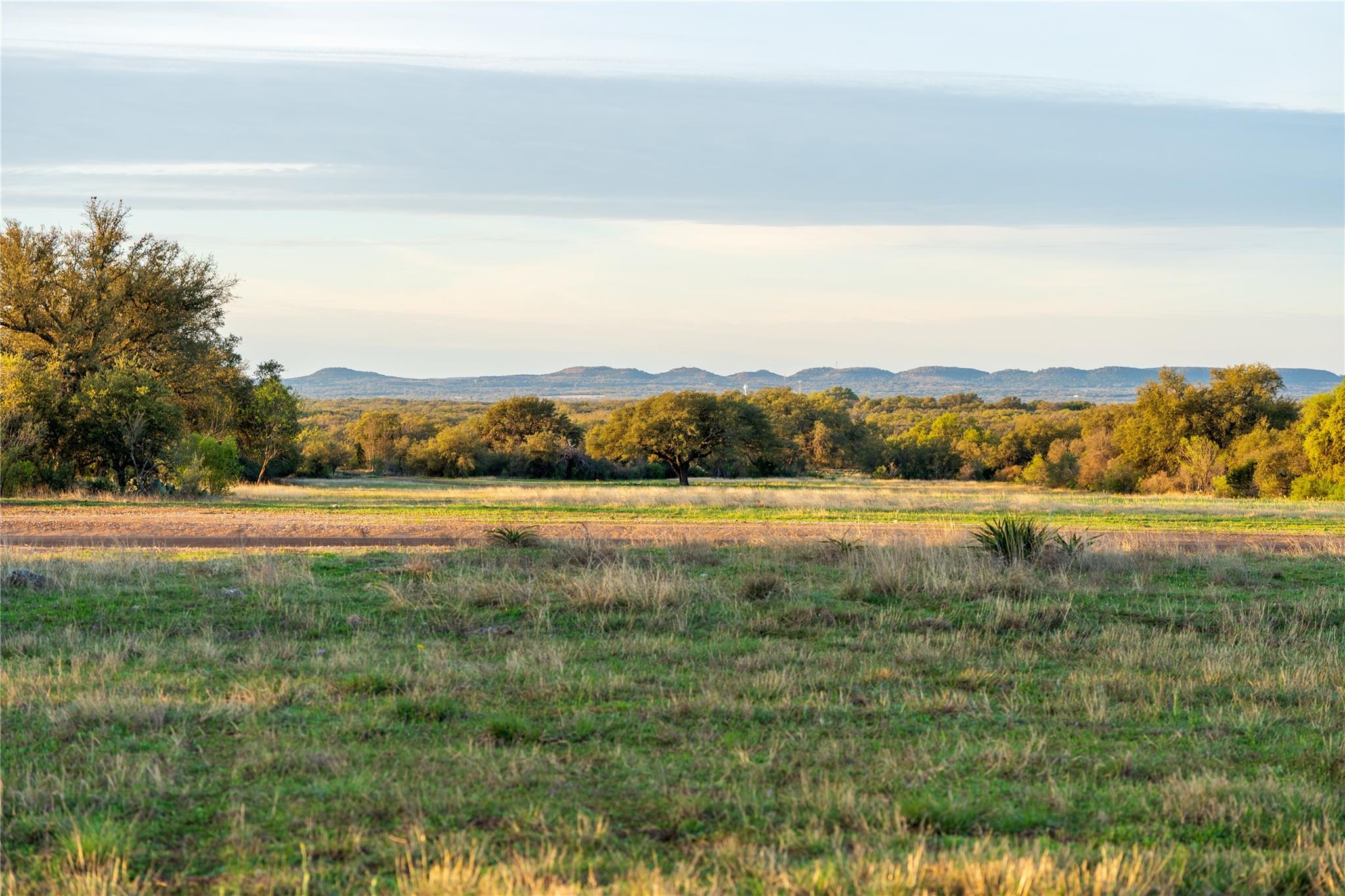 488 Tbd Rr 1323 Dr Property Photo 3