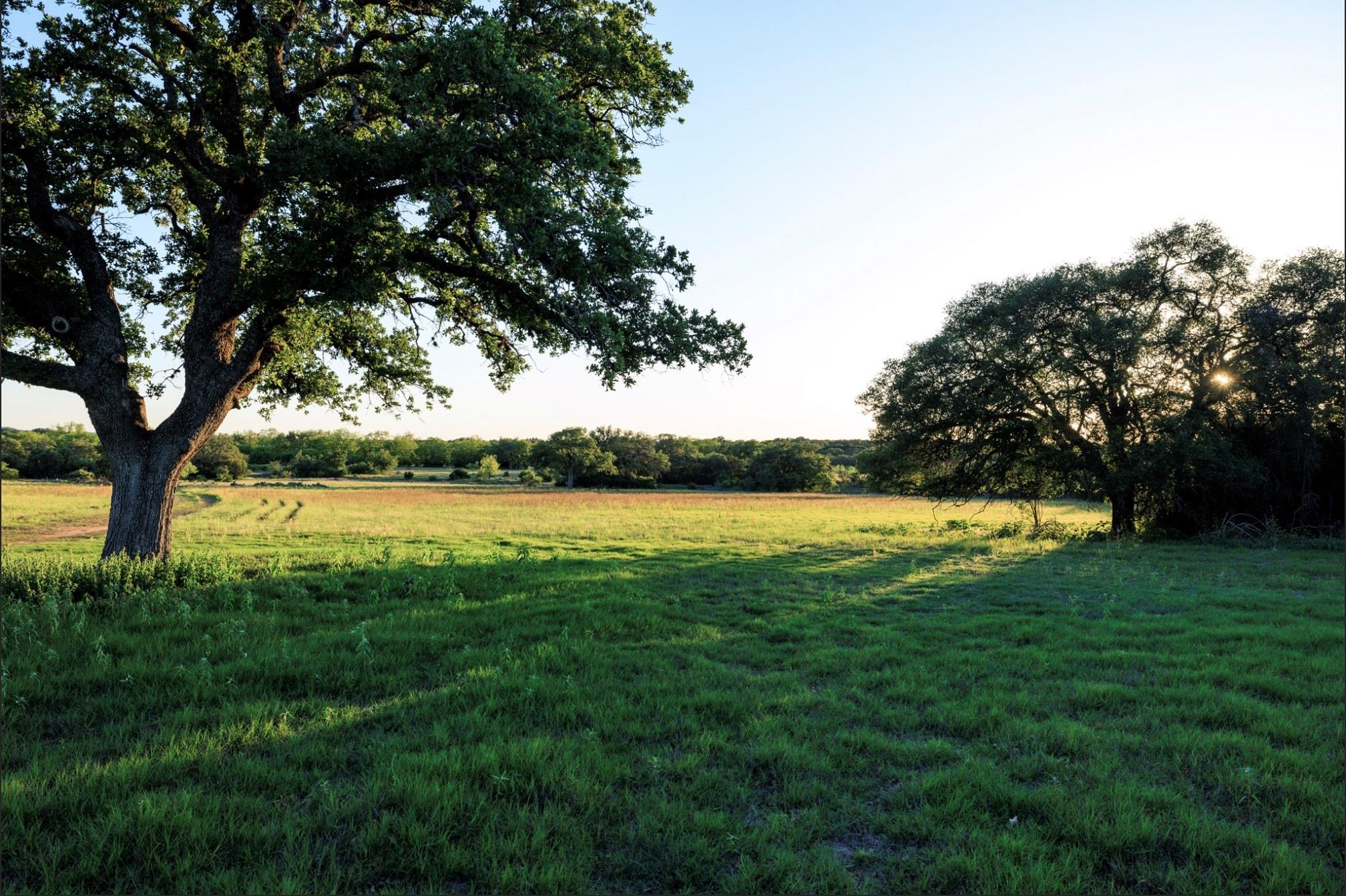 488 Tbd Rr 1323 Dr Property Photo 7