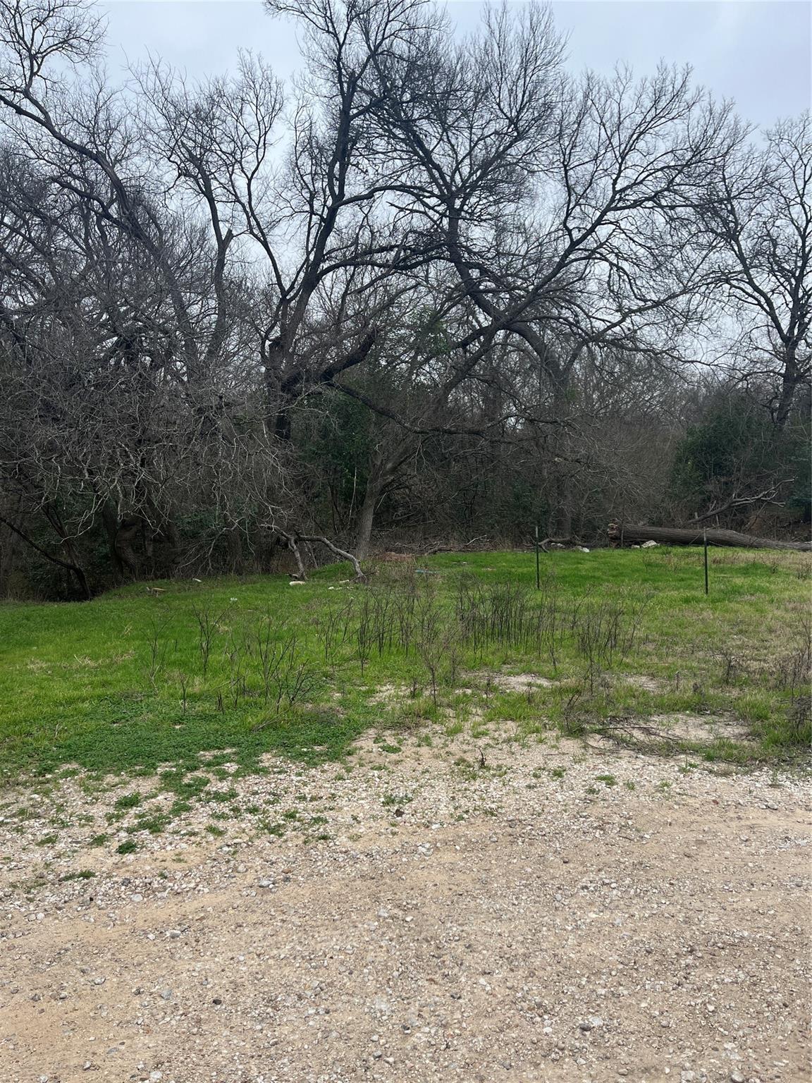 8303 Bluff Springs Rd Property Photo 7