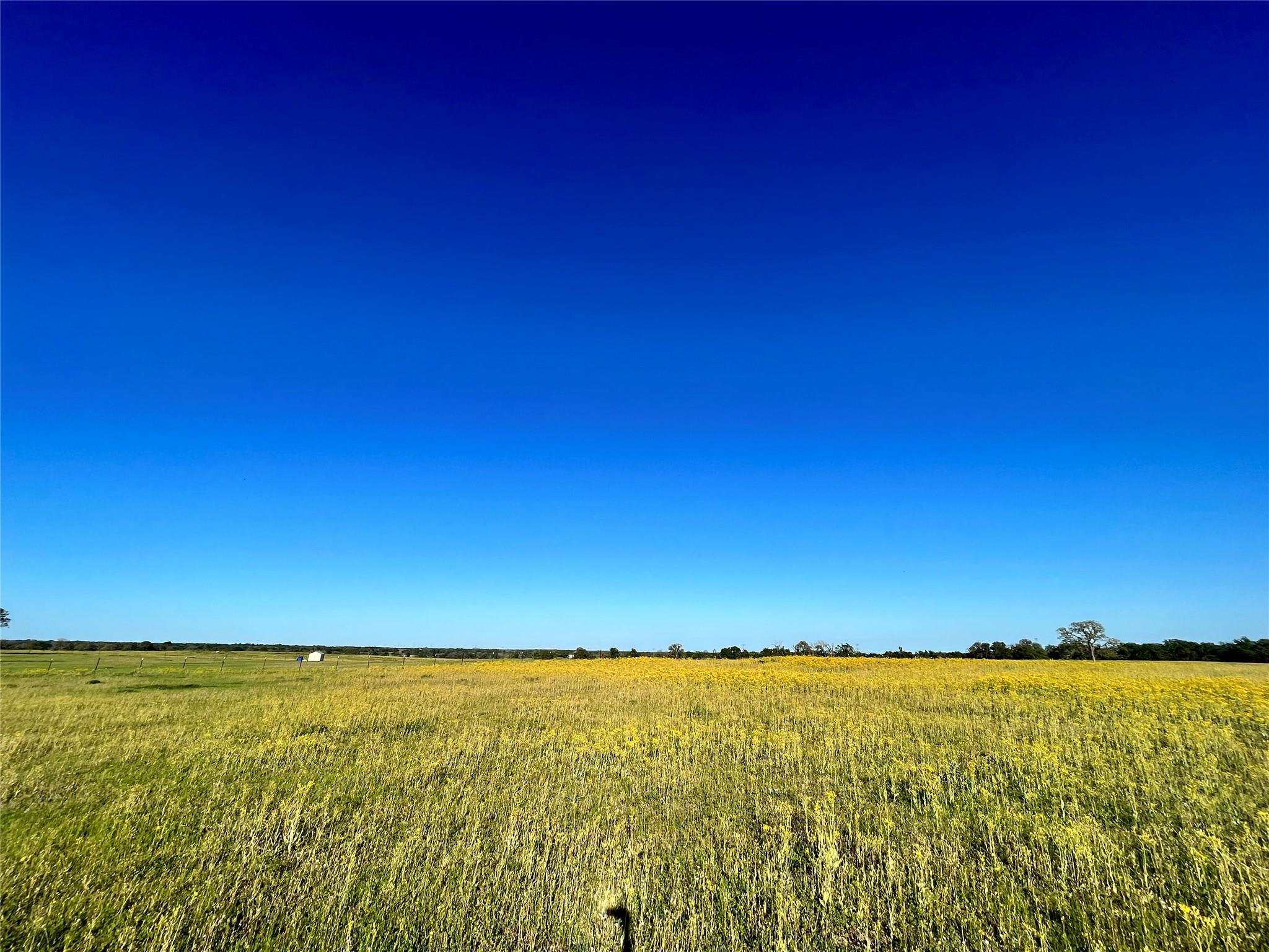 15937 Reagan Loop Loop Property Photo