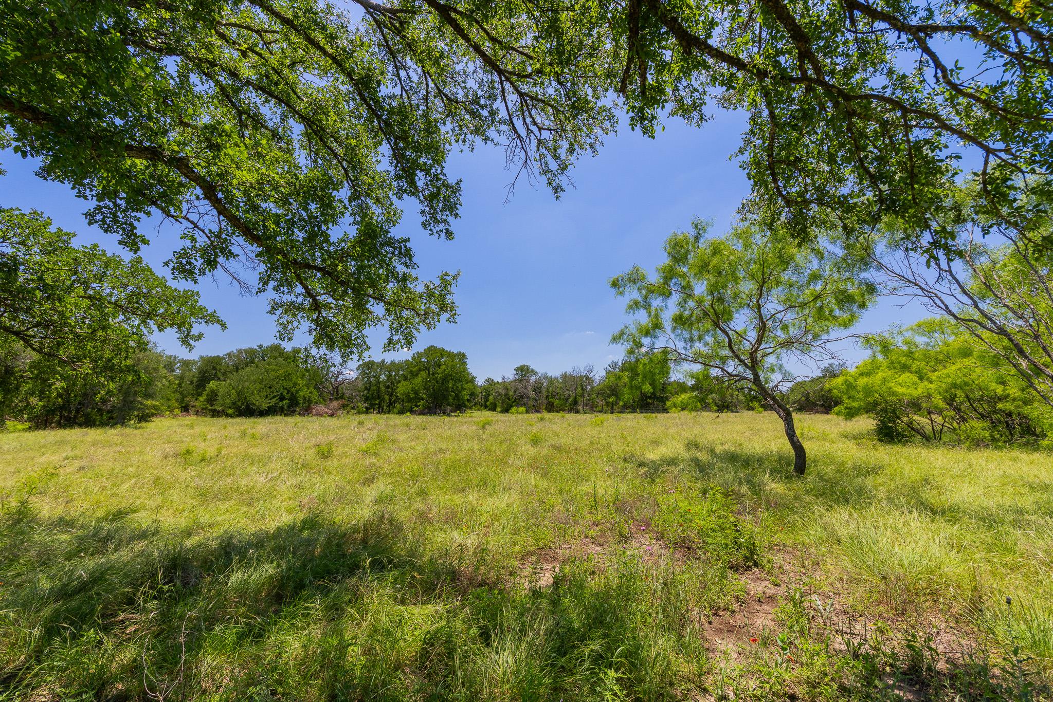 Tbd County Road 180 72 Ac Rd Property Photo 3