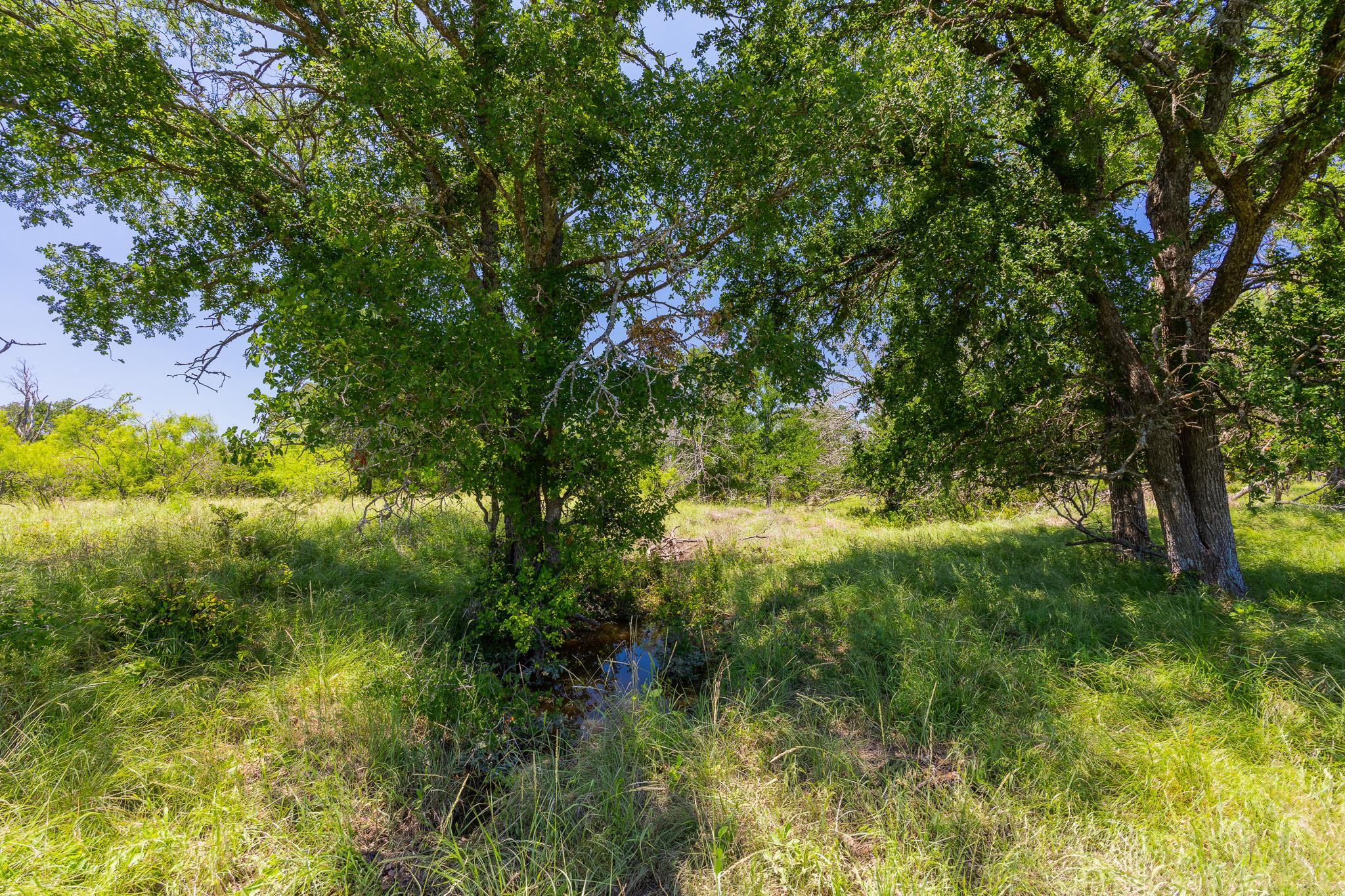 Tbd County Road 180 72 Ac Rd Property Photo 5