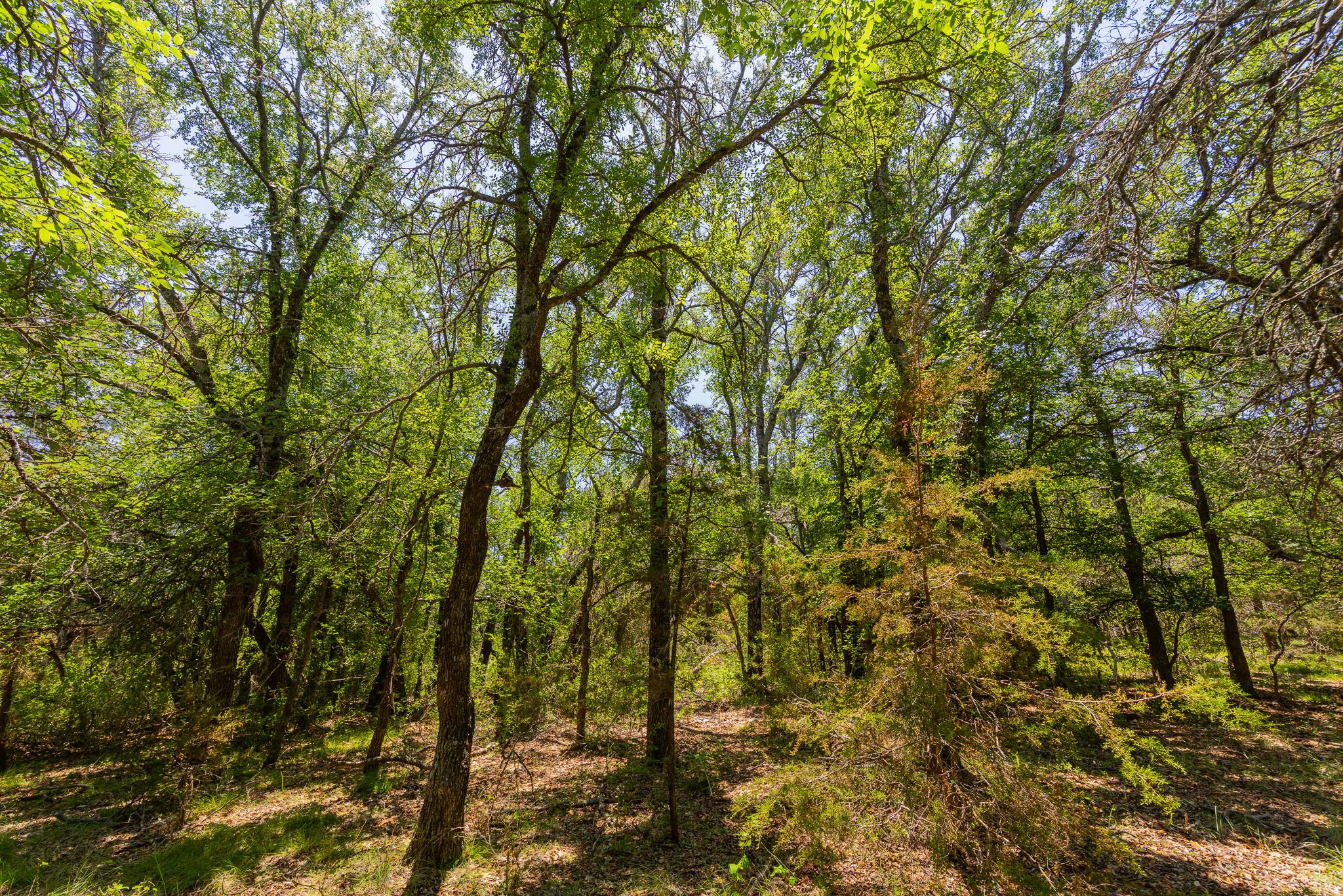 Tbd County Road 180 72 Ac Rd Property Photo 10