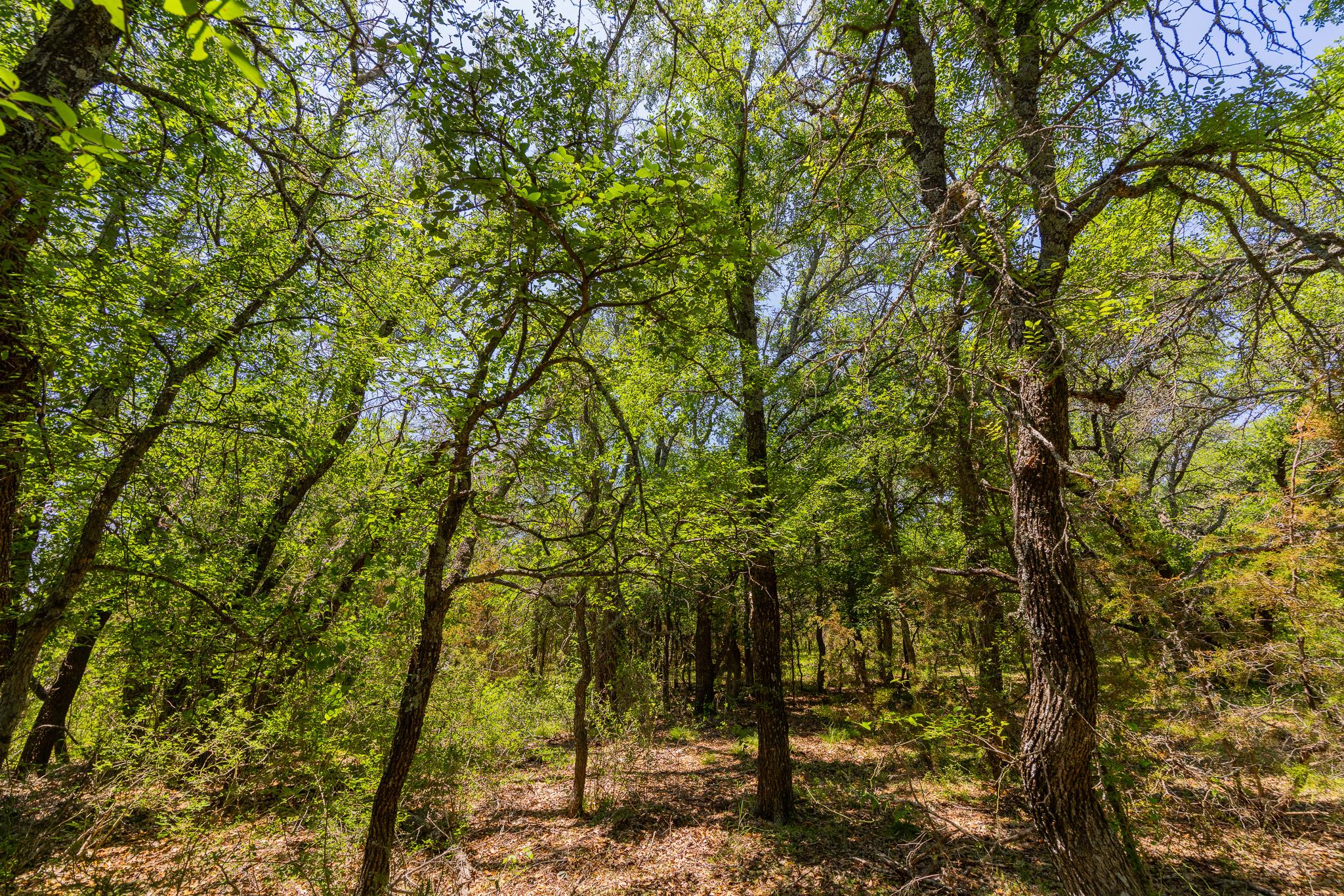 Tbd County Road 180 72 Ac Rd Property Photo 25