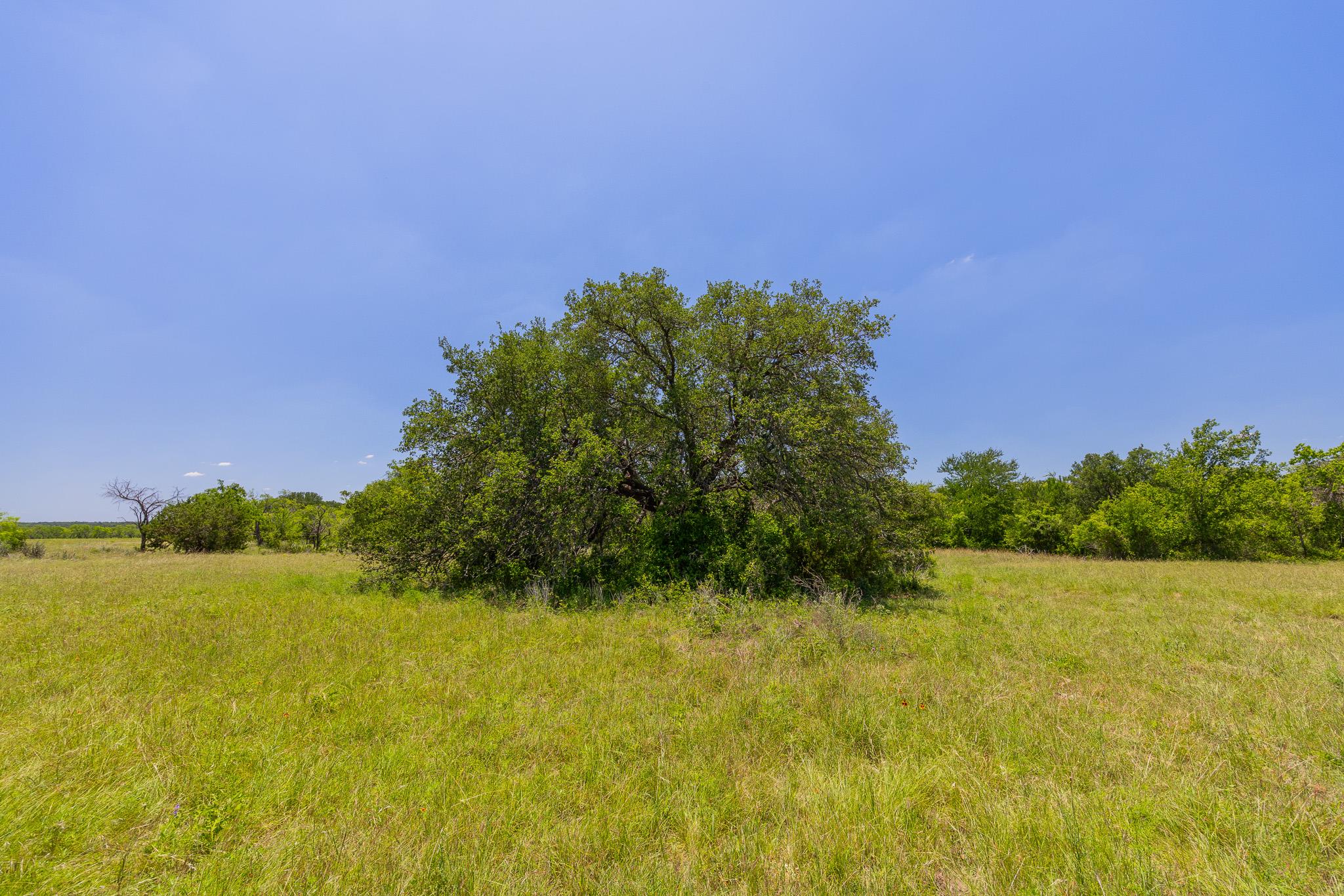 Tbd County Road 180 72 Ac Rd Property Photo 27