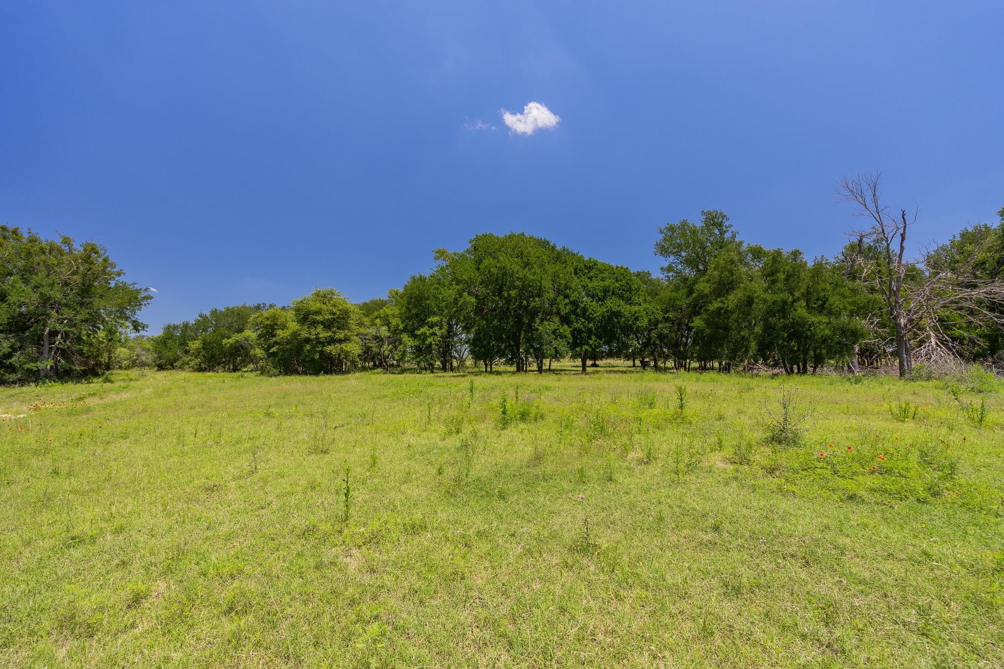 Tbd County Road 180 72 Ac Rd Property Photo 28