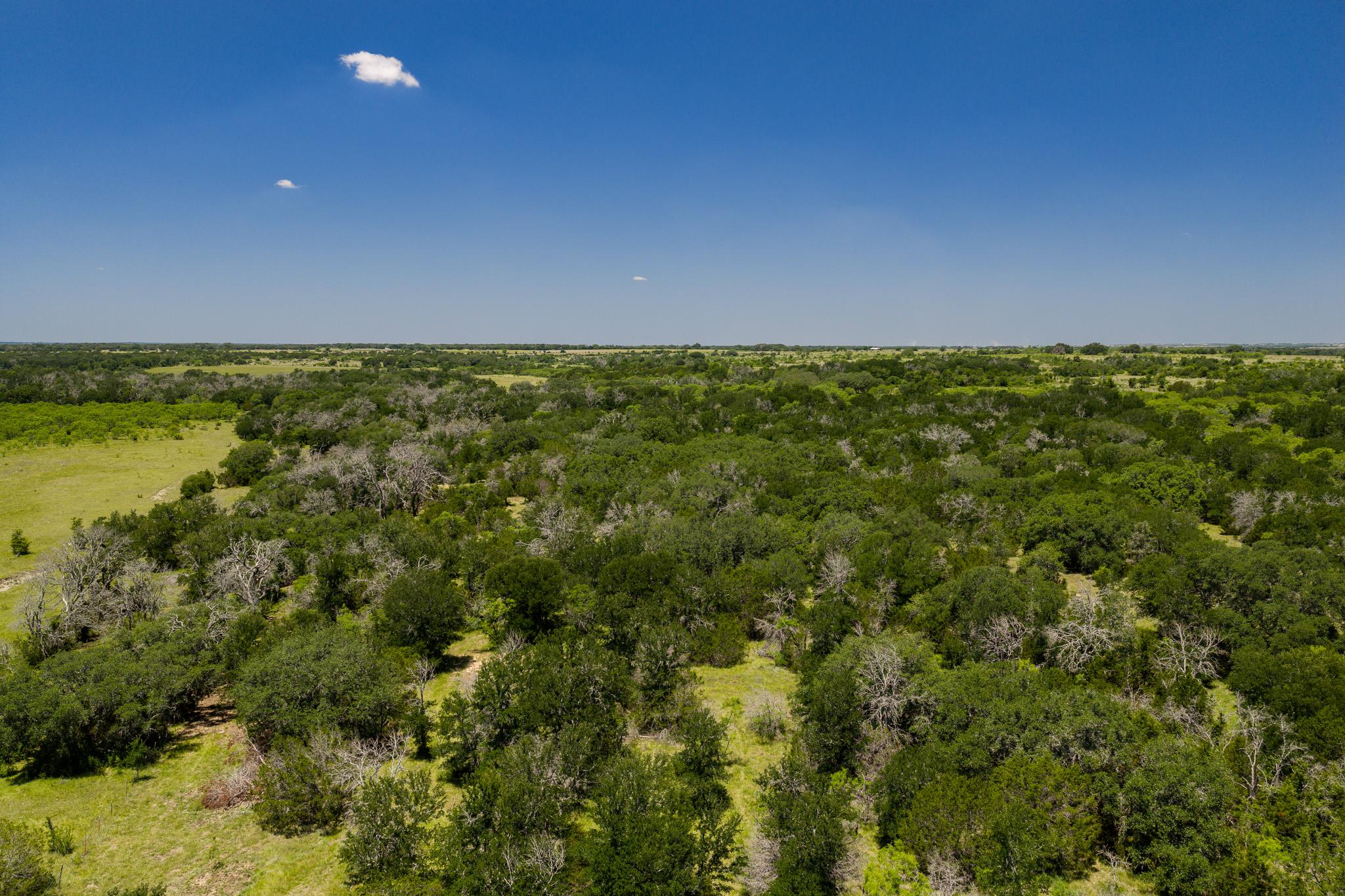 Tbd County Road 180 72 Ac Rd Property Photo 33
