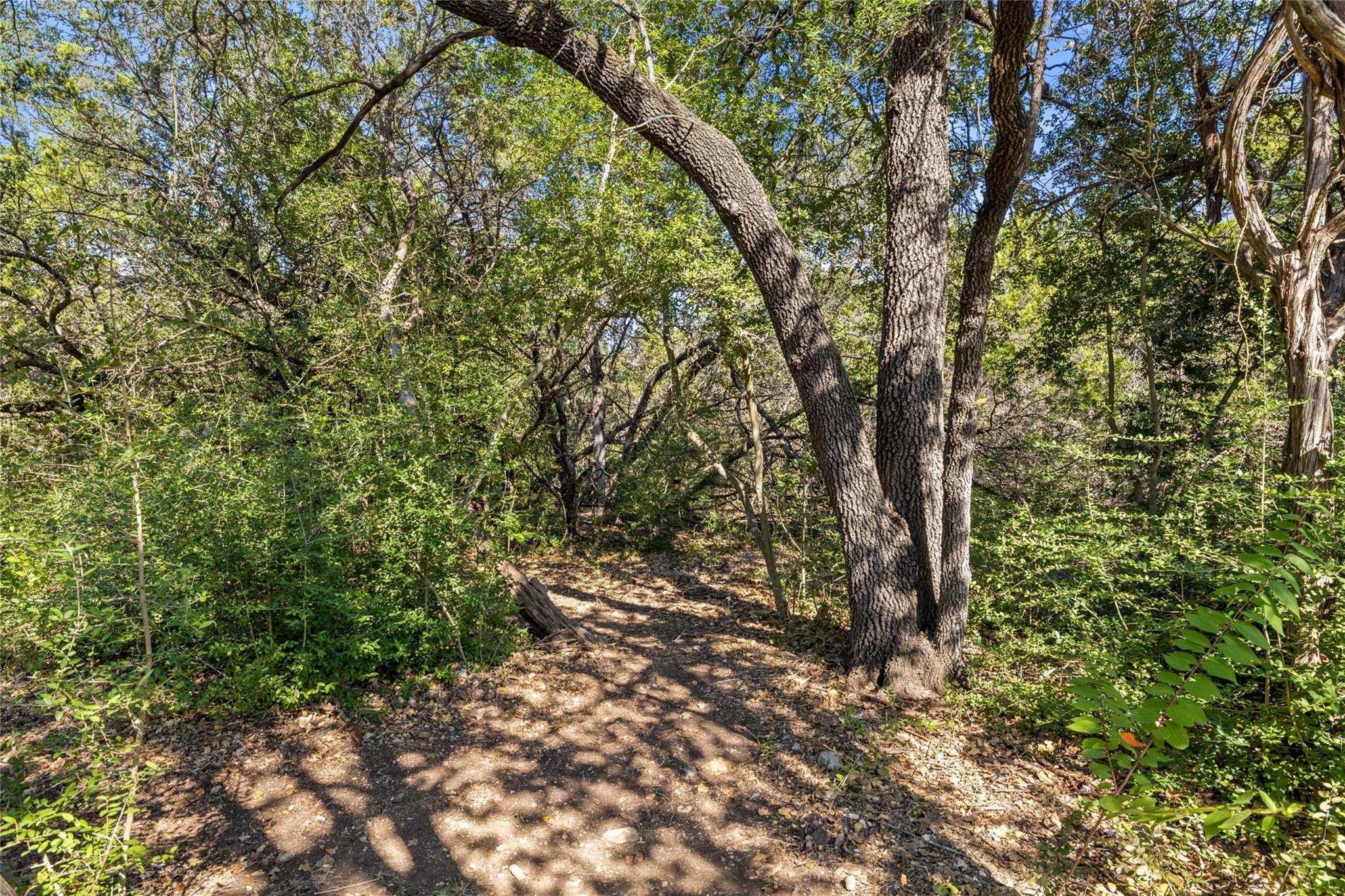 5400 Apache Creek Cv Property Photo 34