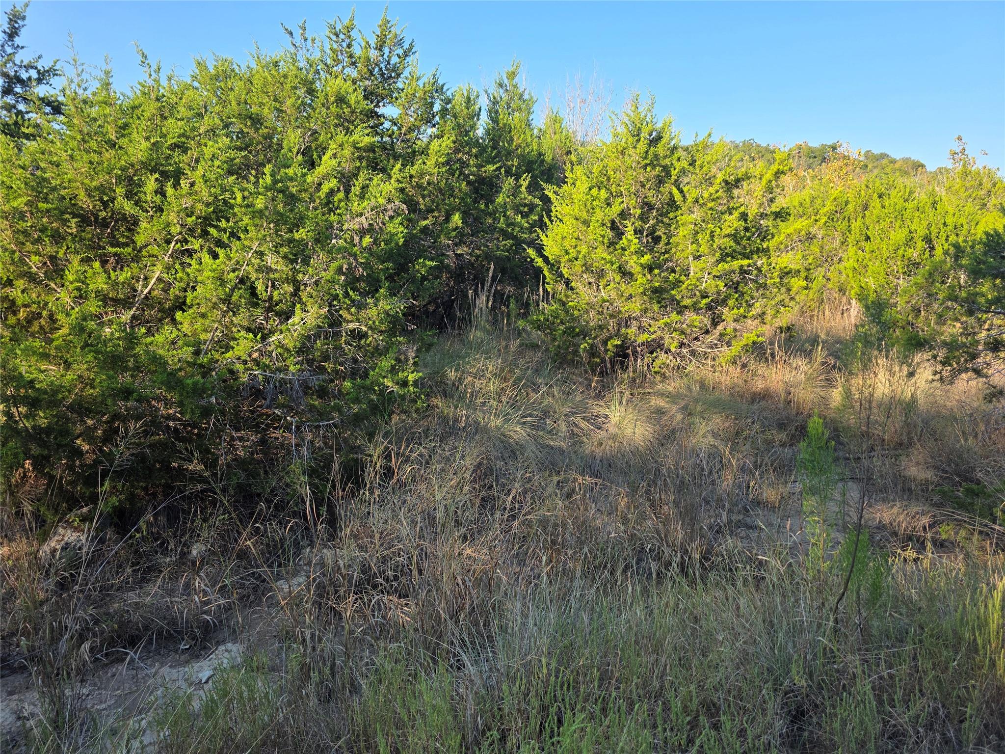 201 Sycamore Valley Rd Property Photo 6