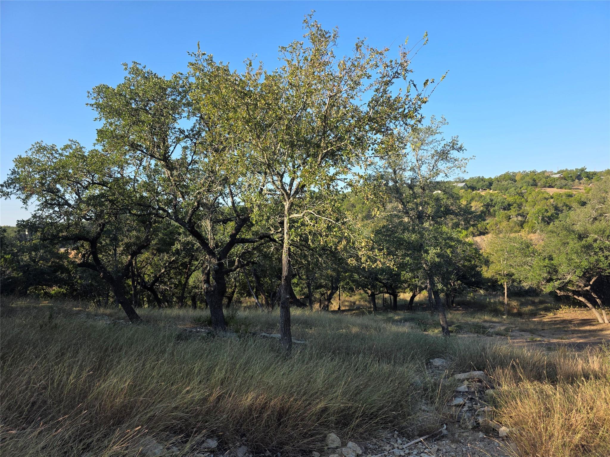 201 Sycamore Valley Rd Property Photo 7