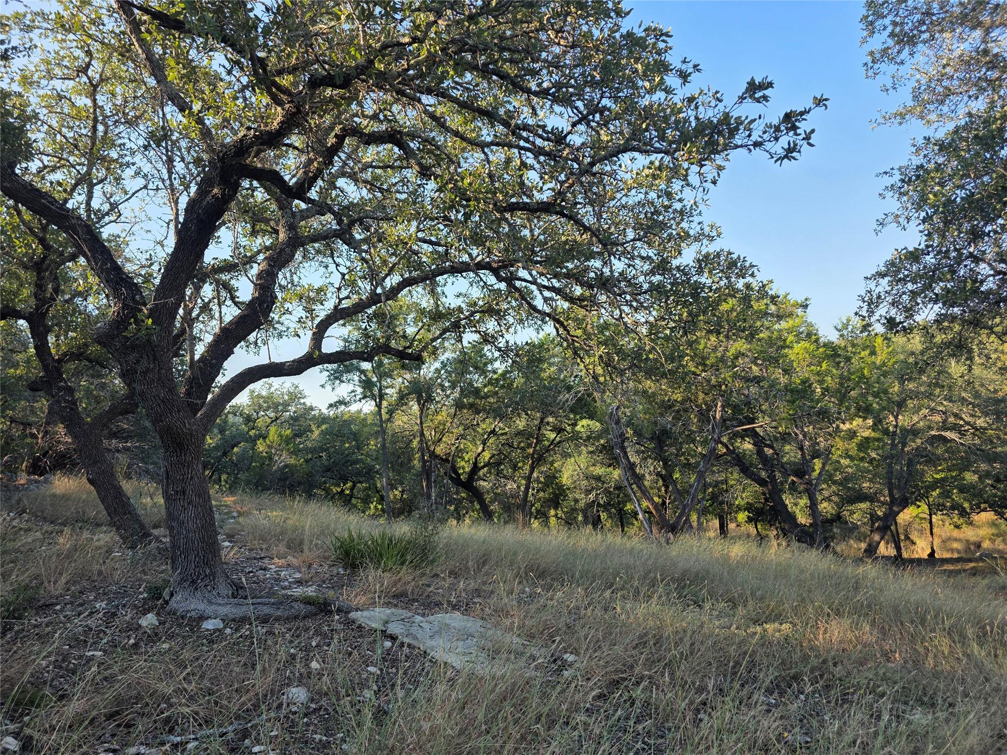 201 Sycamore Valley Rd Property Photo 8