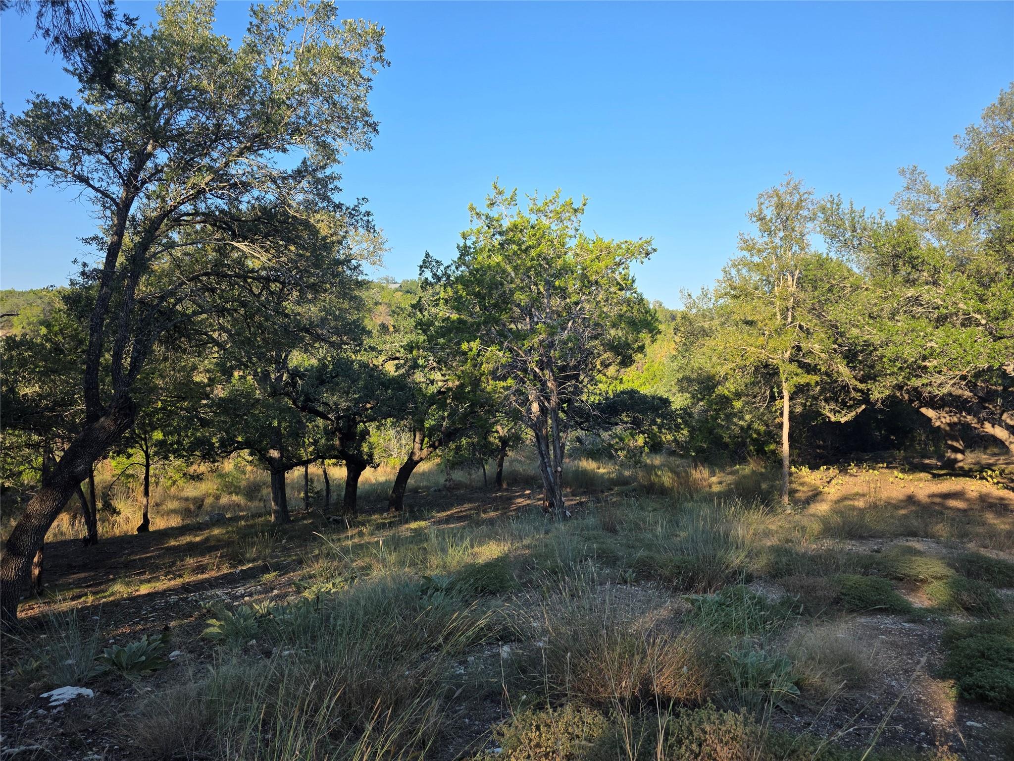 201 Sycamore Valley Rd Property Photo 11