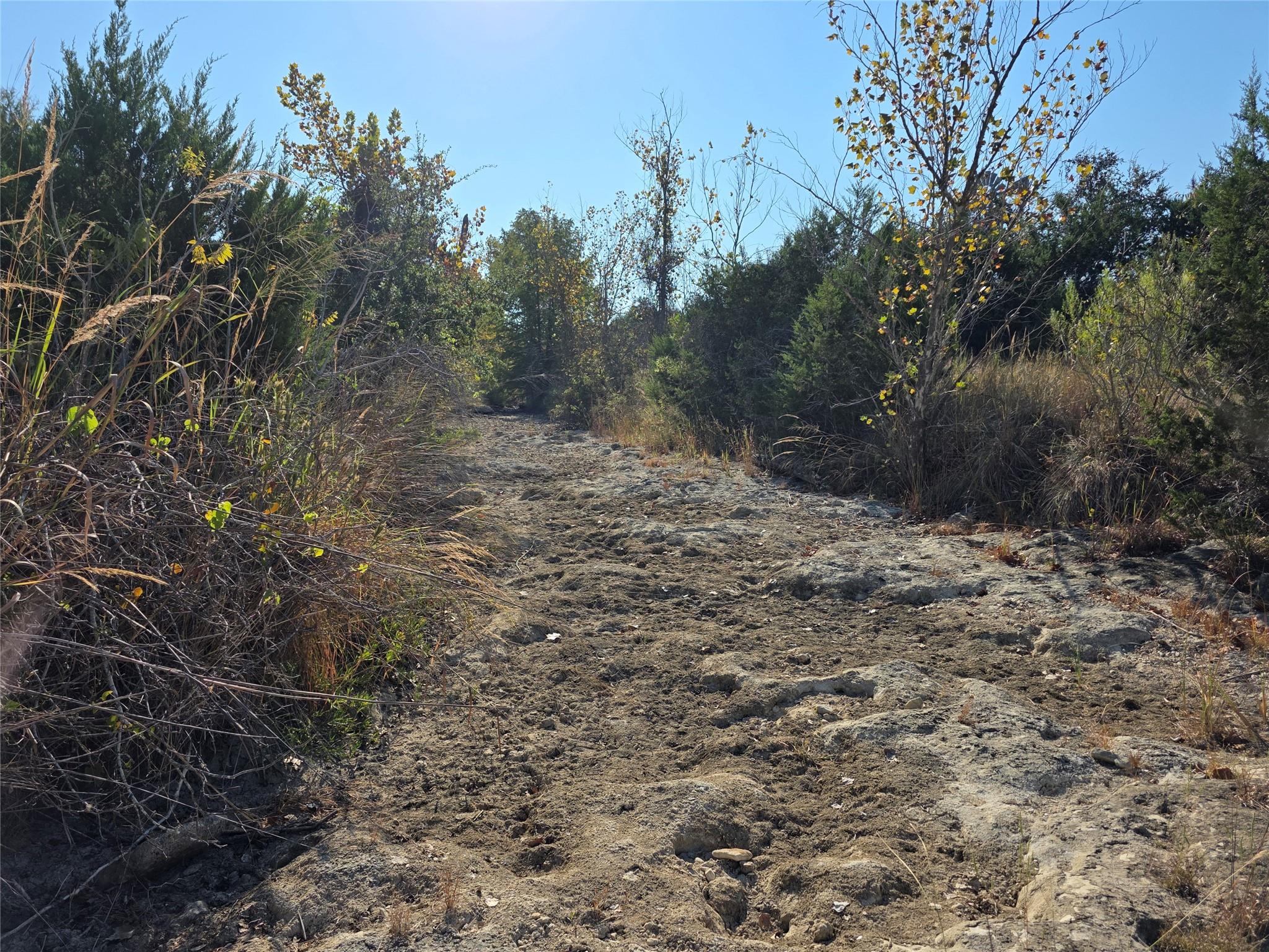 201 Sycamore Valley Rd Property Photo 12
