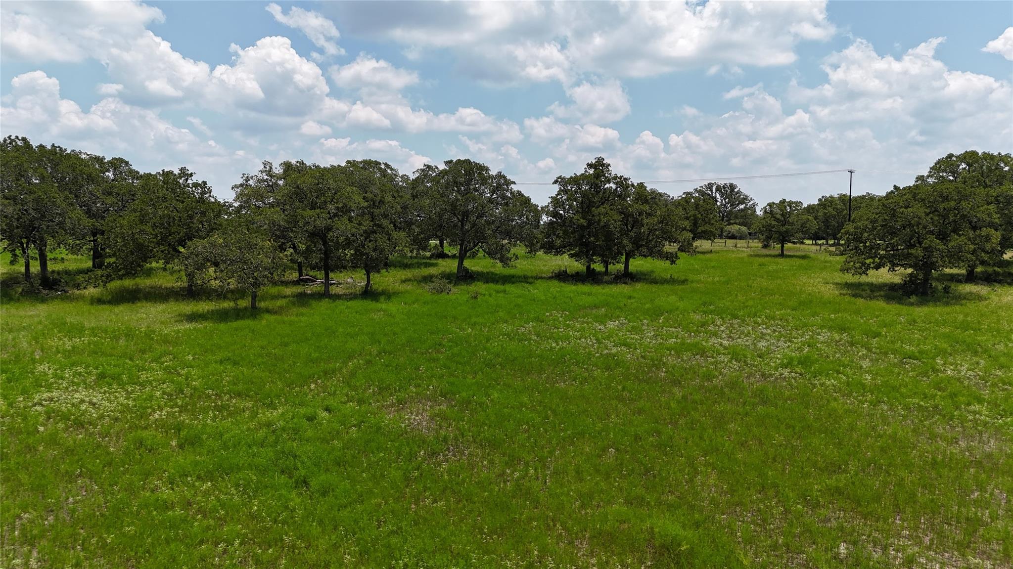 Tbd Fm 60 (tract 7) Rd Property Photo 6