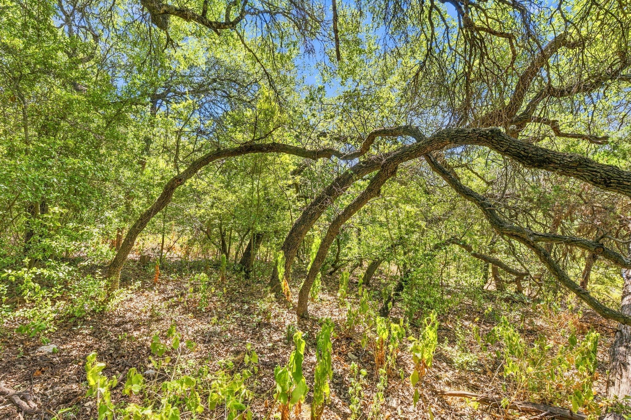 6401 Dry Cliff Cv Property Photo 18
