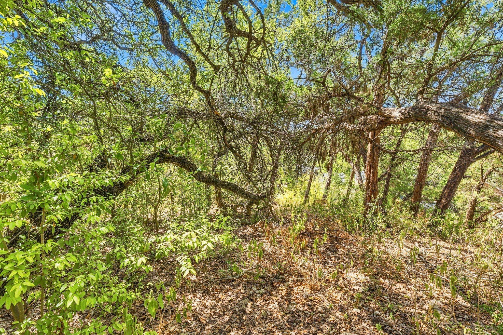 6401 Dry Cliff Cv Property Photo 19