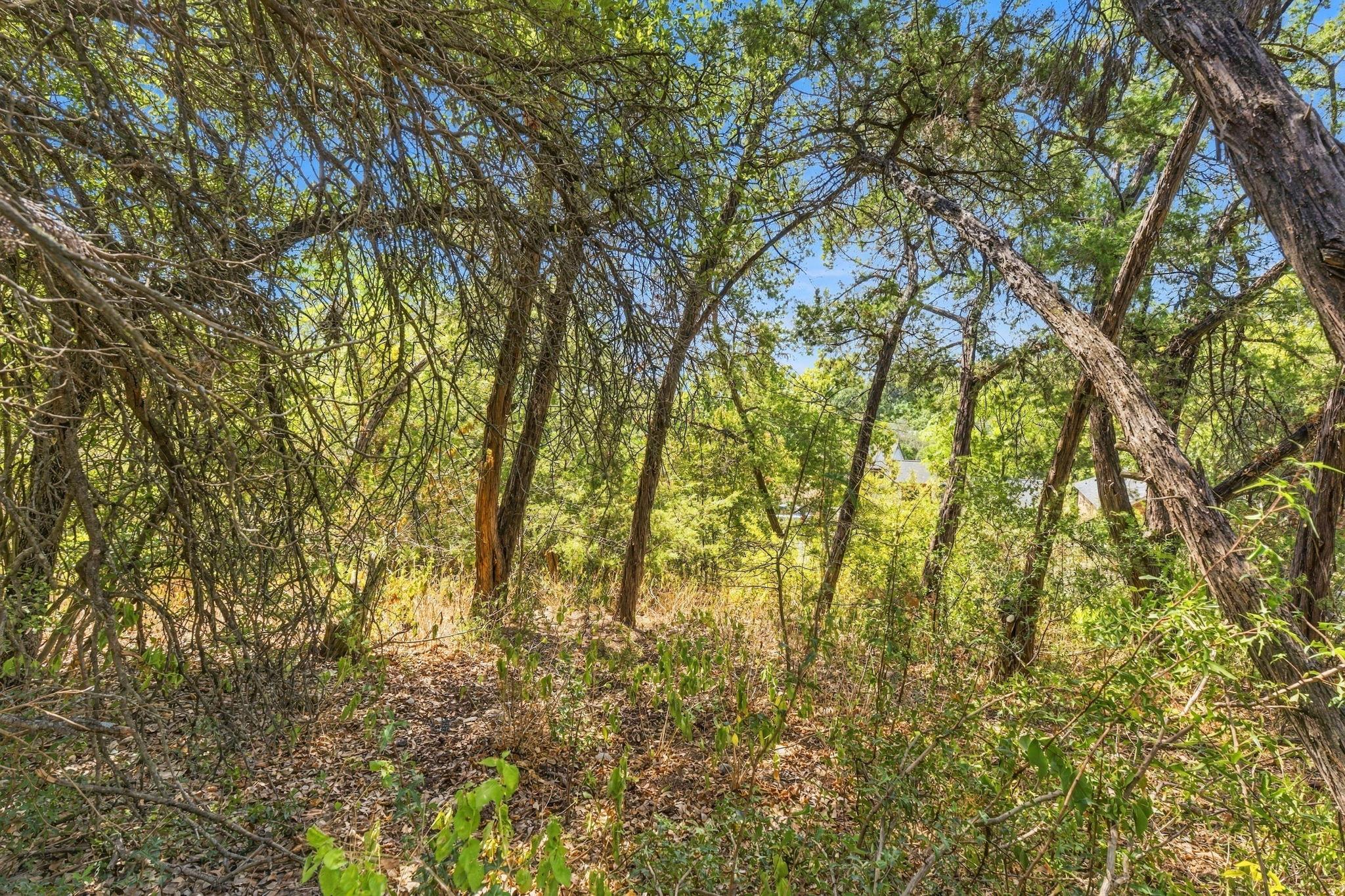 6401 Dry Cliff Cv Property Photo 20