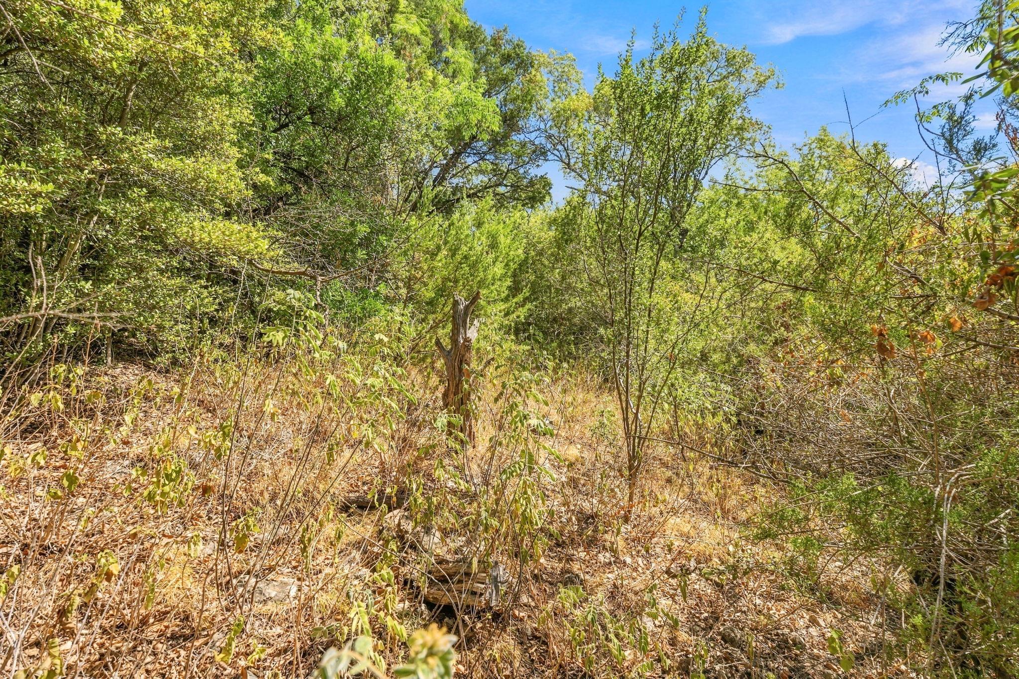 6401 Dry Cliff Cv Property Photo 21
