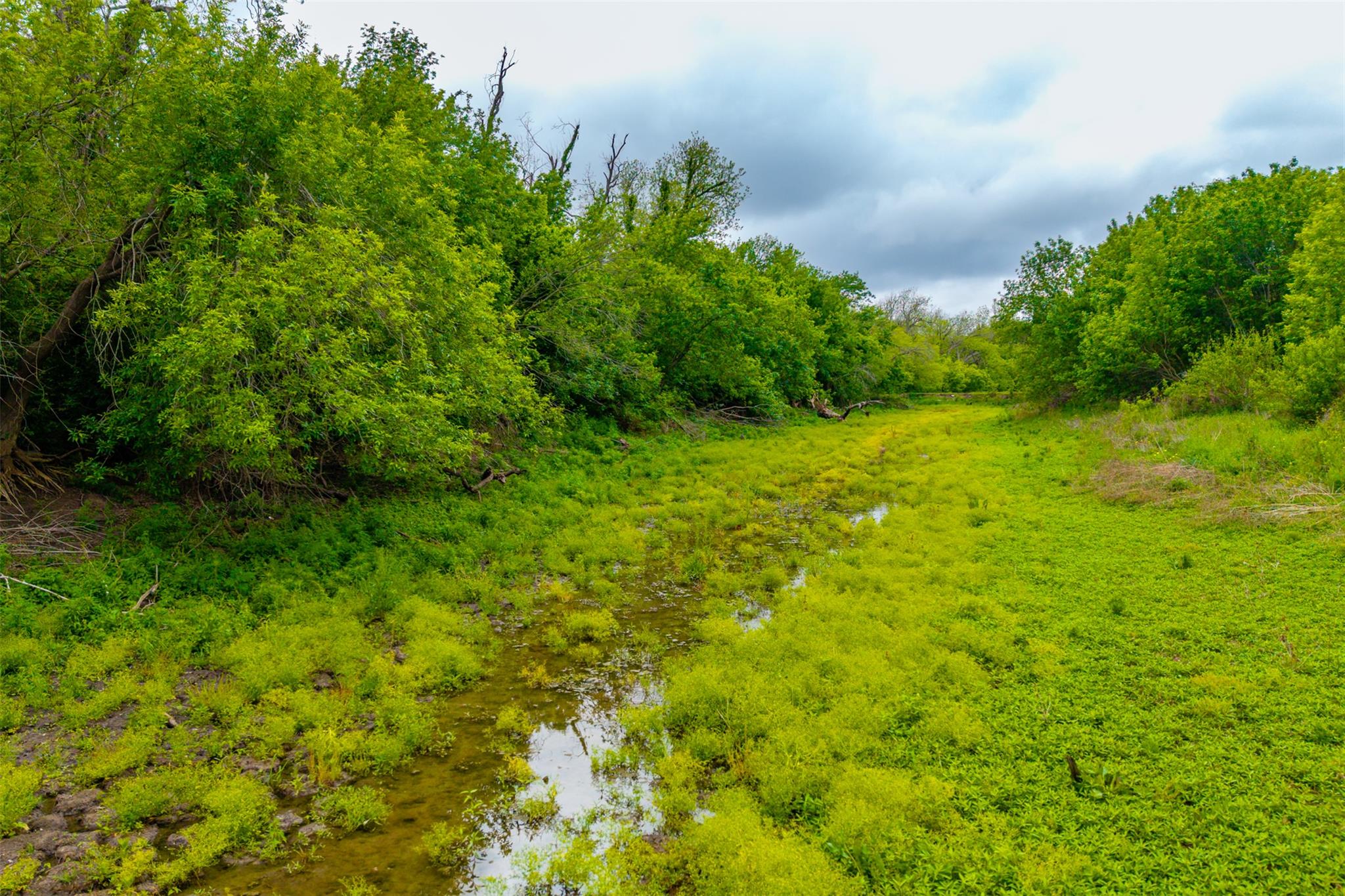 18.45 Acres Fm 1660 None Property Photo 17