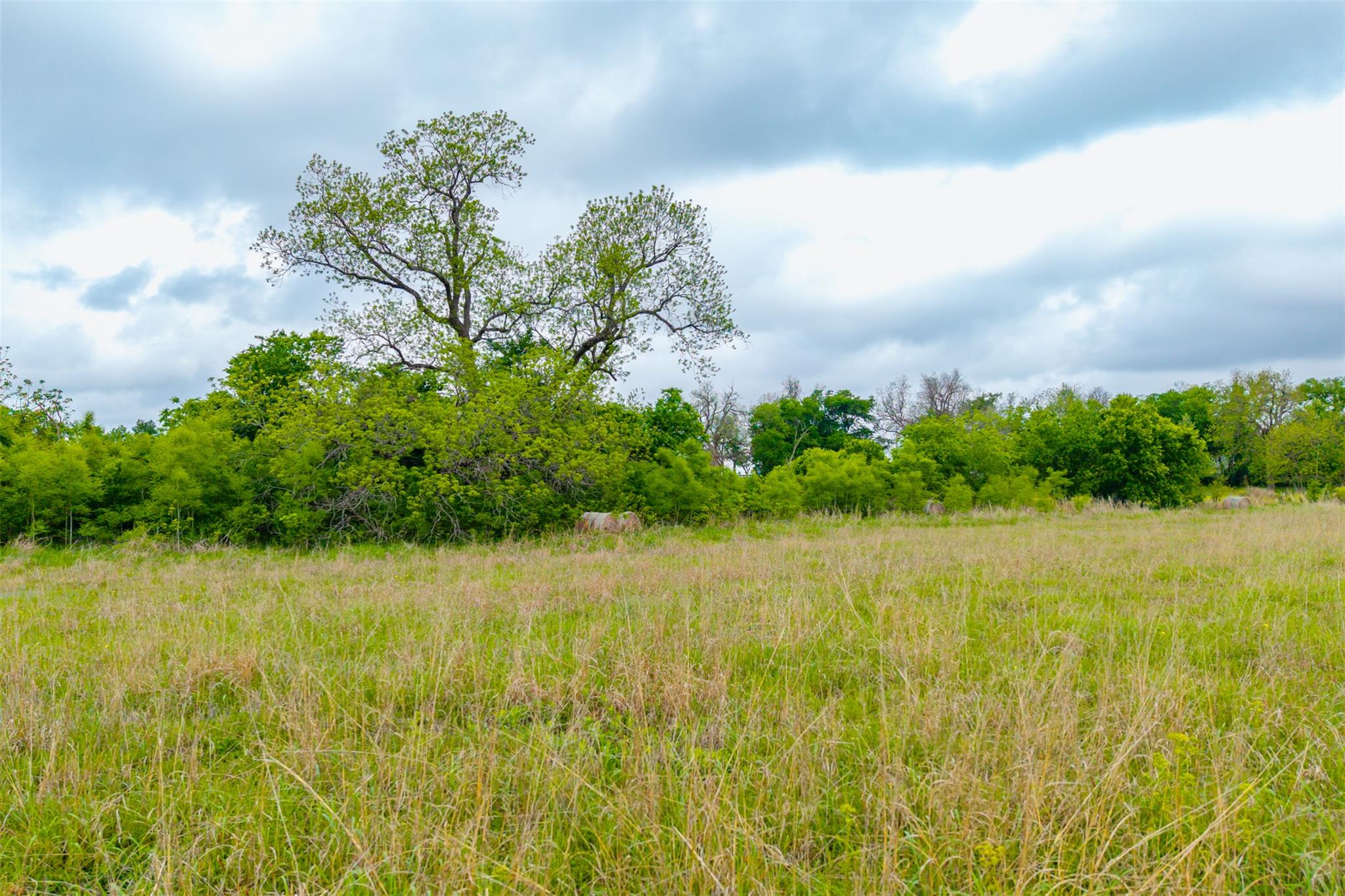 18.45 Acres Fm 1660 None Property Photo 20