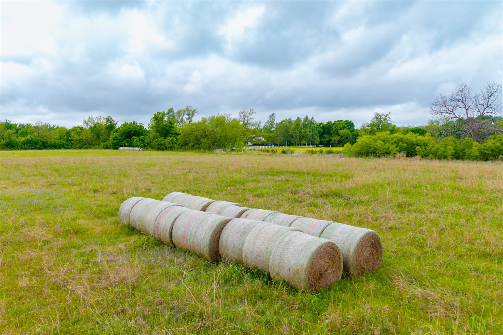 18.45 Acres Fm 1660 None Property Photo 21