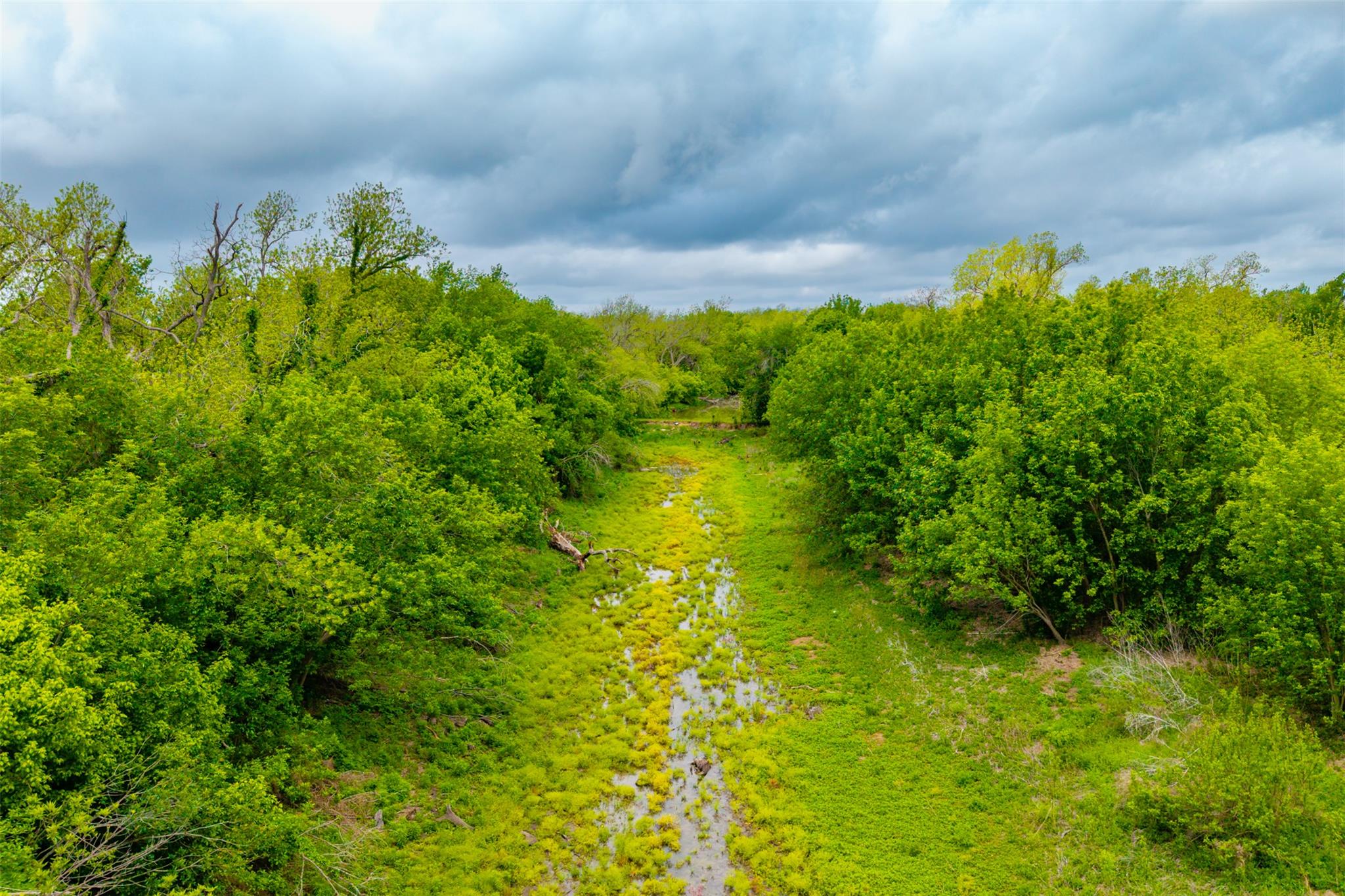 18.45 Acres Fm 1660 None Property Photo 26