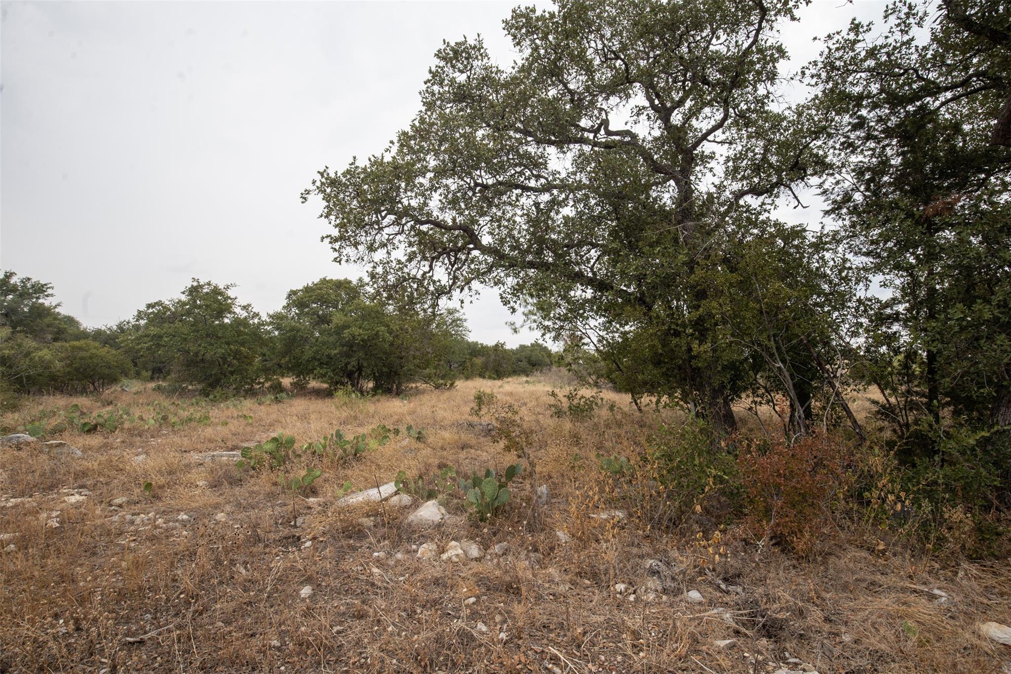 Lot 196 Marble Falls Ct Property Photo 11
