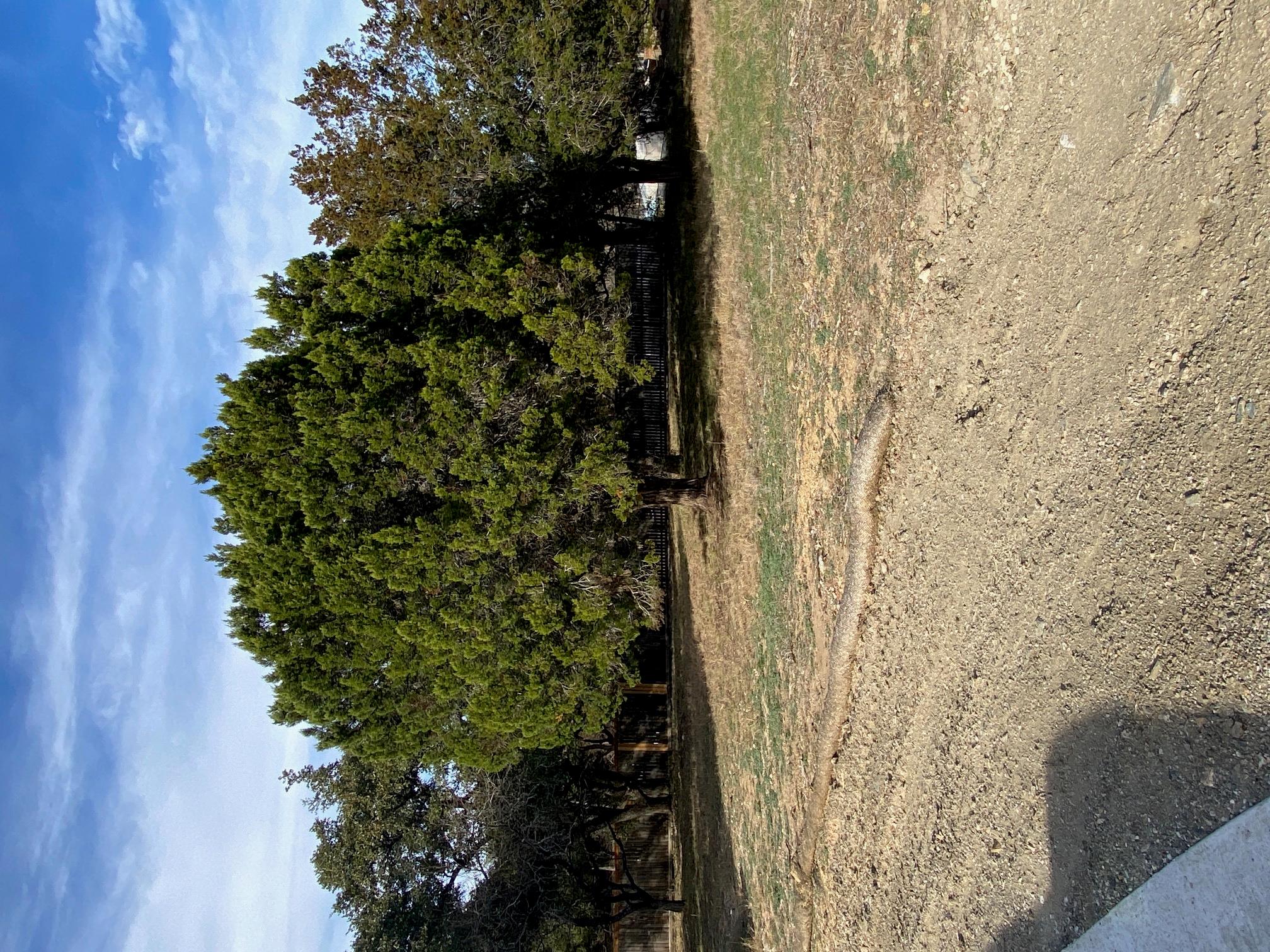 212 Cactus Corner None Property Photo 1