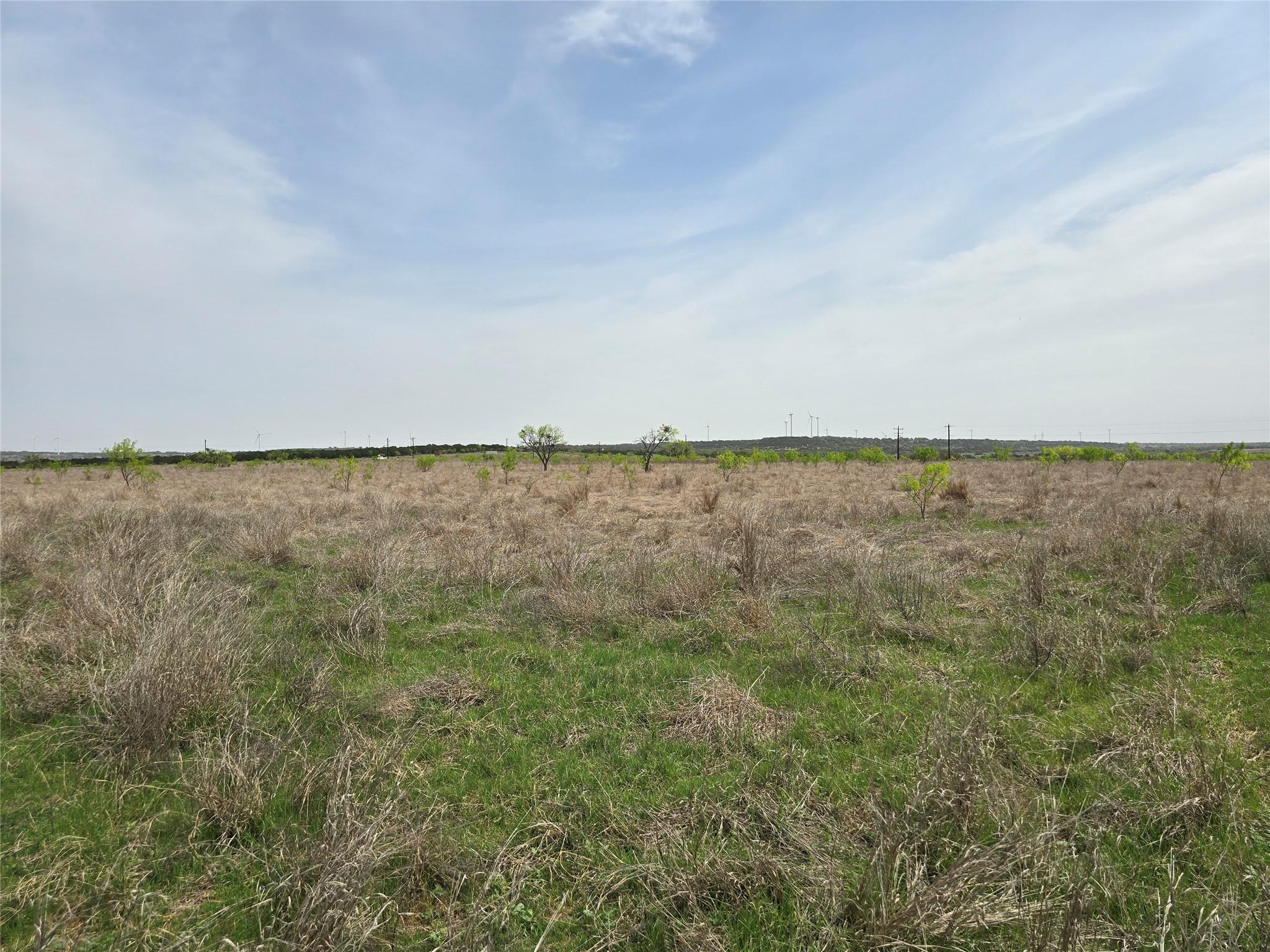 133 Live Oak Mott Dr Property Photo 6