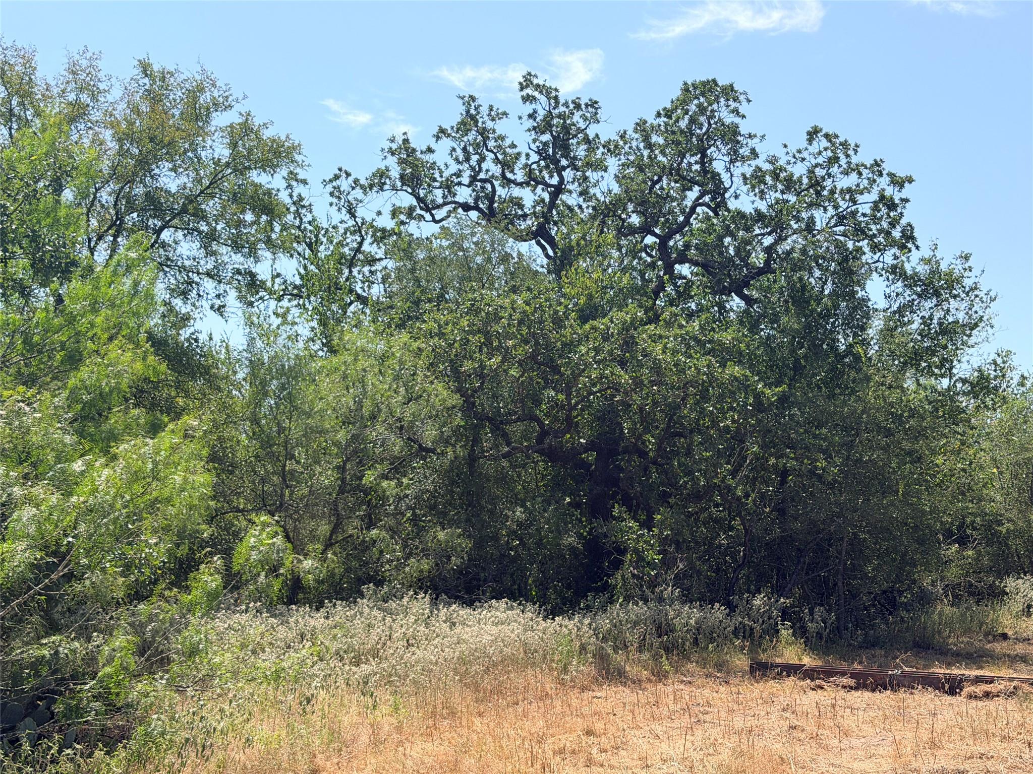 Tbd Pumper Tract 1 Rd Property Photo 7