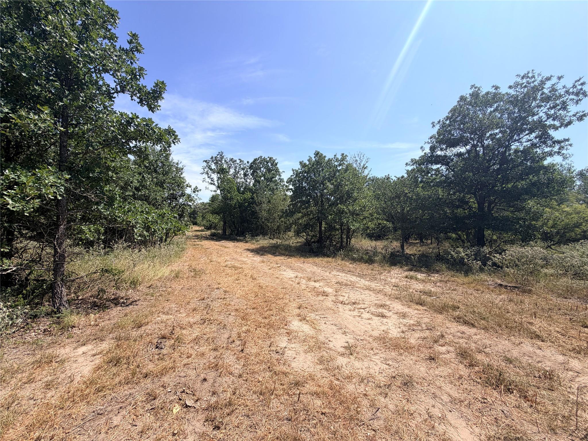 Tbd Pumper Tract 1 Rd Property Photo 8