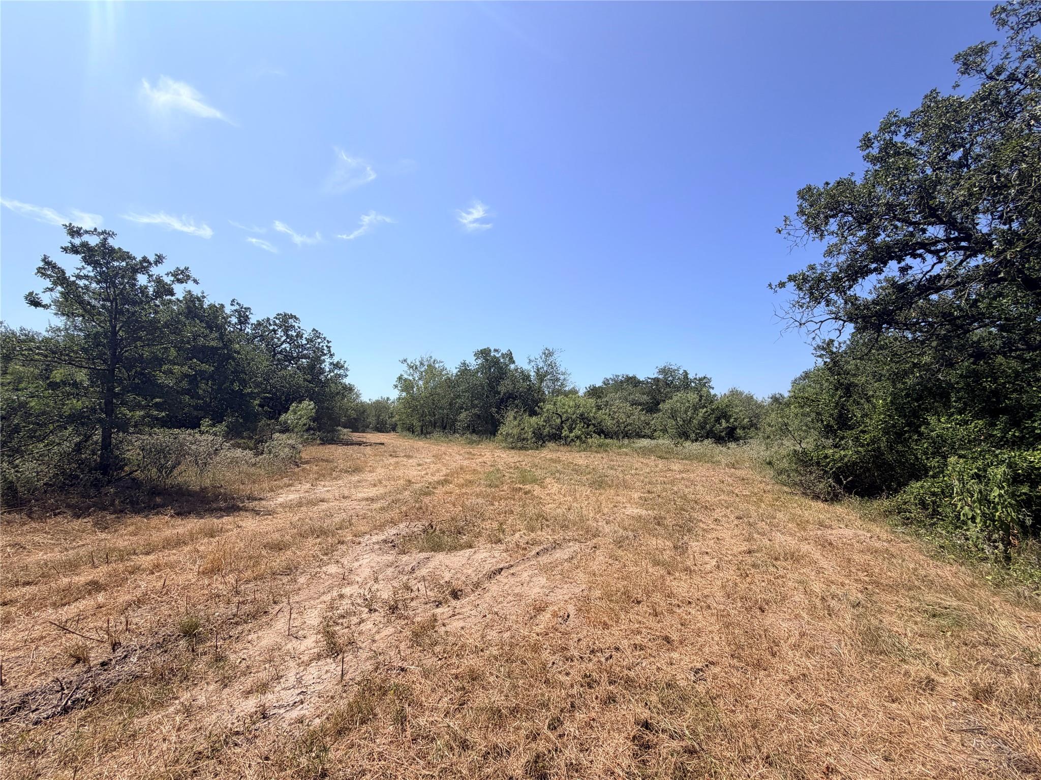 Tbd Pumper Tract 1 Rd Property Photo 10