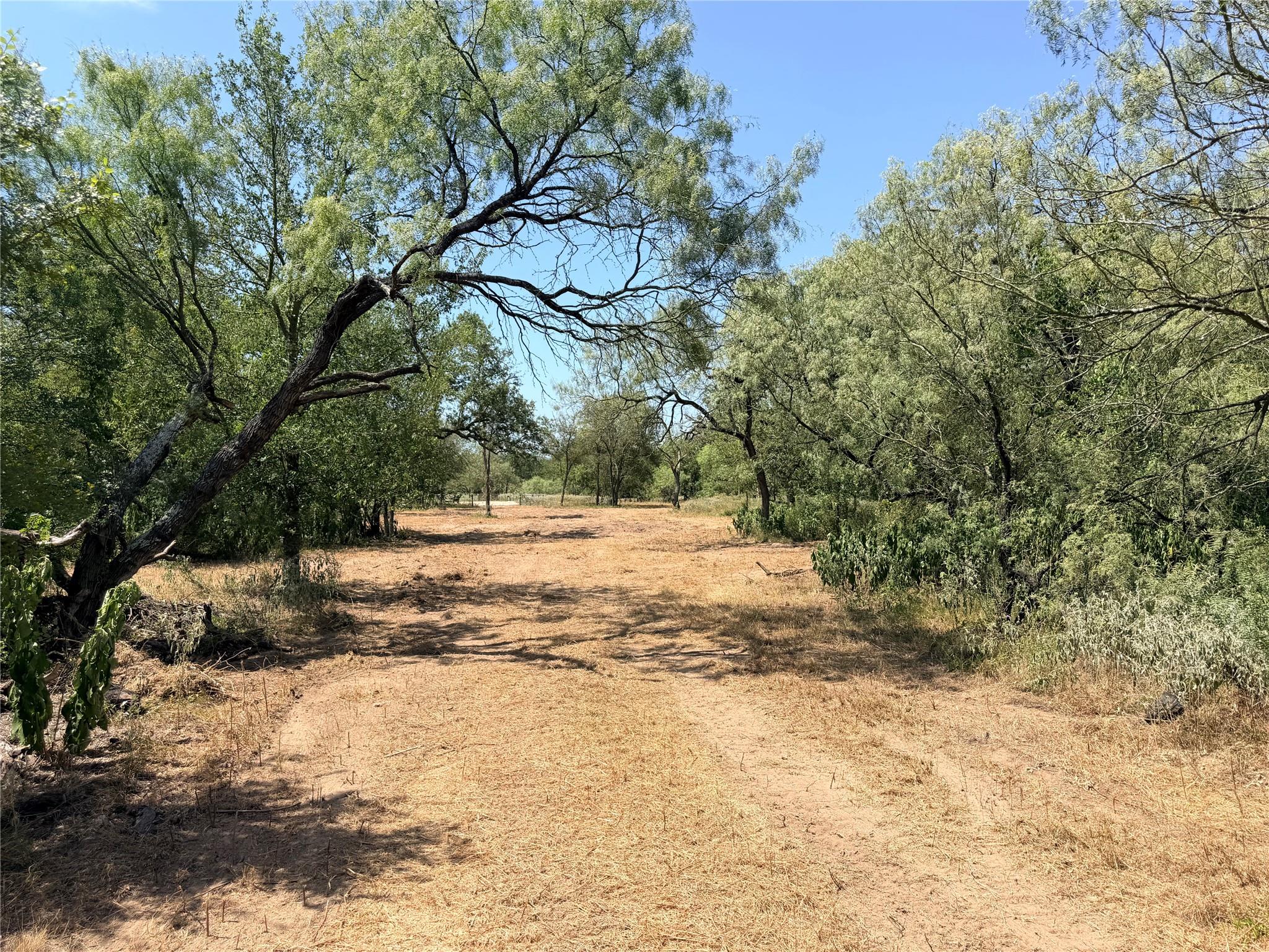 Tbd Pumper Tract 1 Rd Property Photo 11