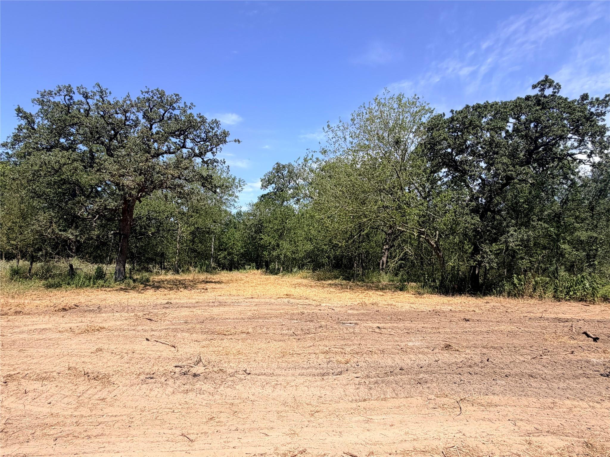 Tbd Pumper Tract 1 Rd Property Photo 12
