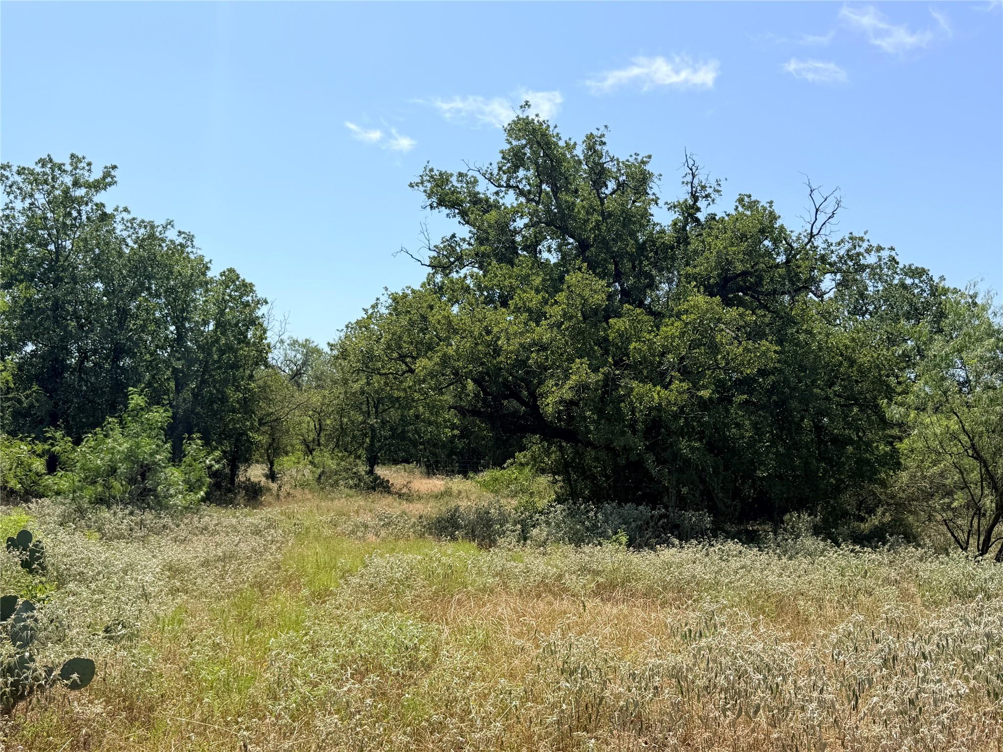 Tbd Pumper Tract 1 Rd Property Photo 19