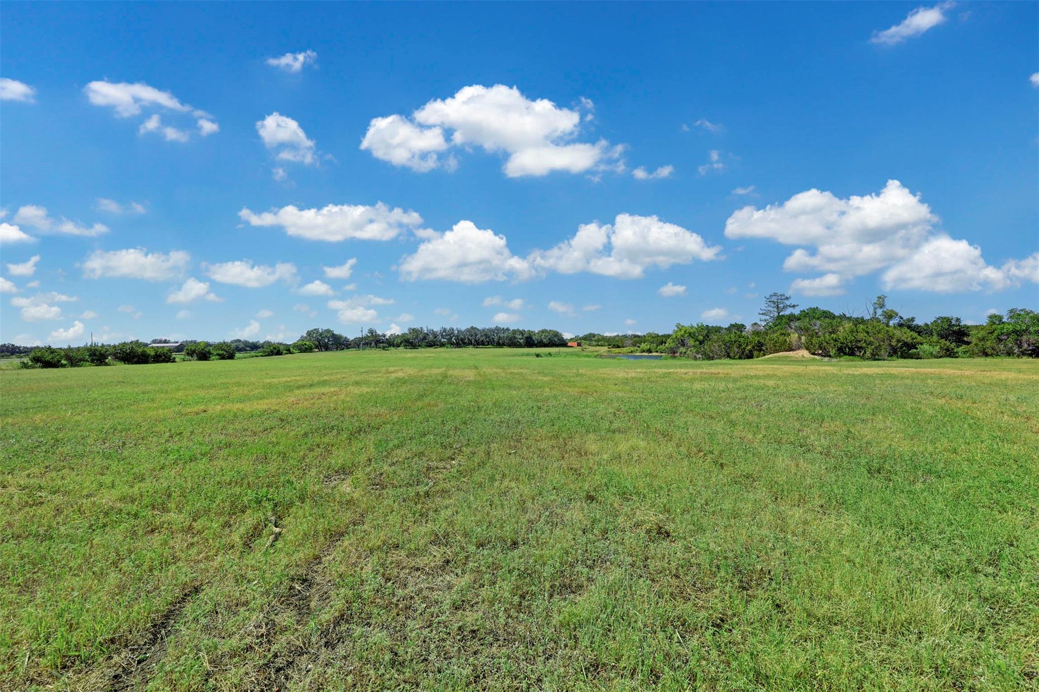 2055 County Road 284 Parcel B Property Photo 6